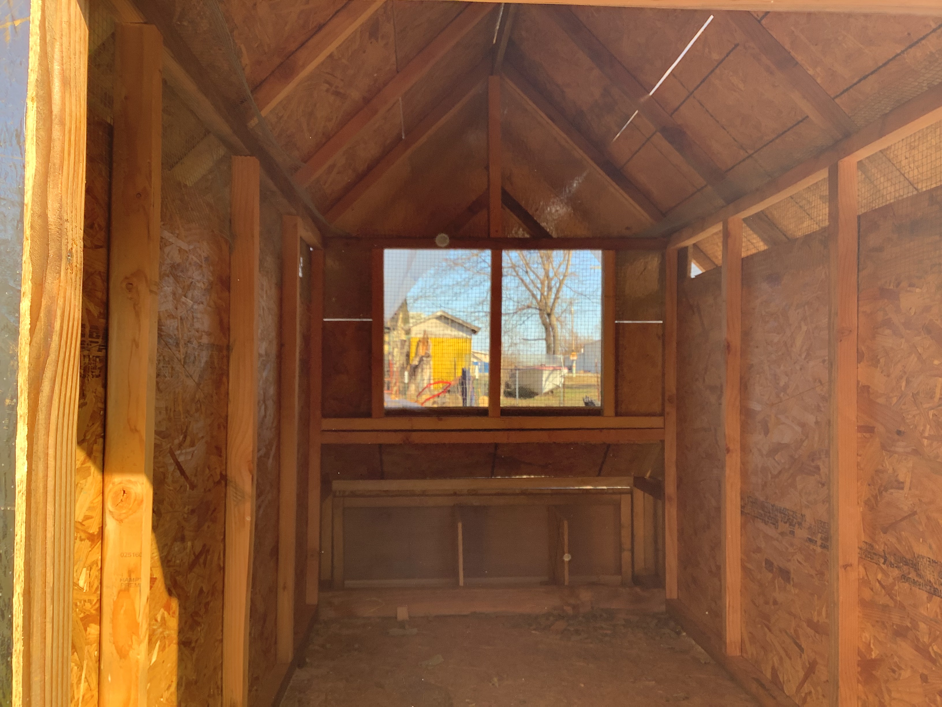 Exciting Updates on Our Coop Build Journey!
