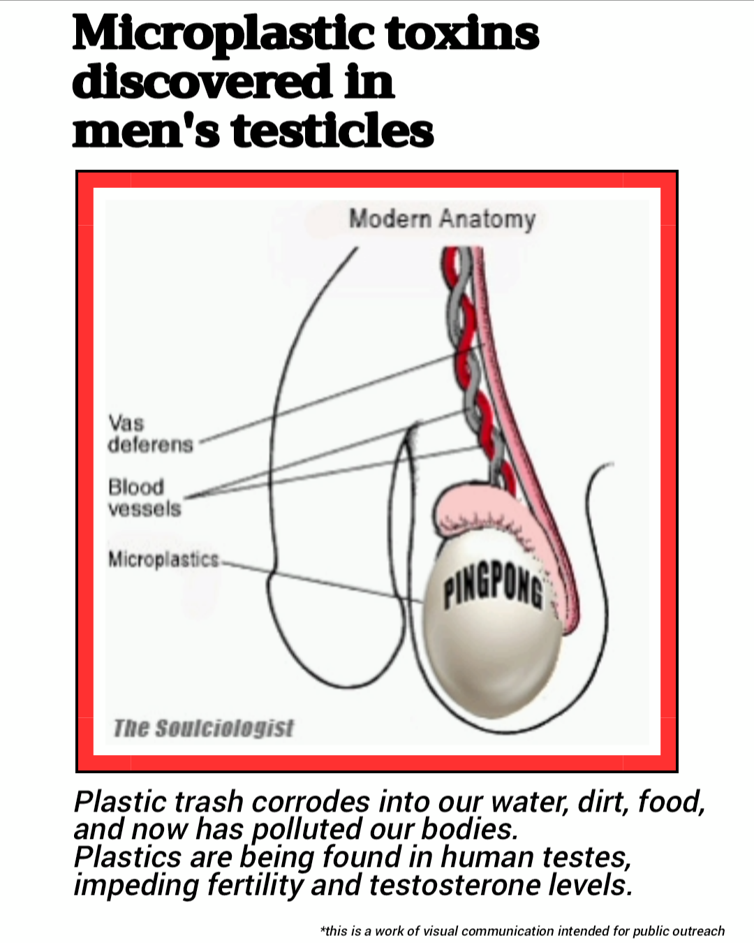 The Hidden Dangers of Plastic: Impact on Your Gains and Health