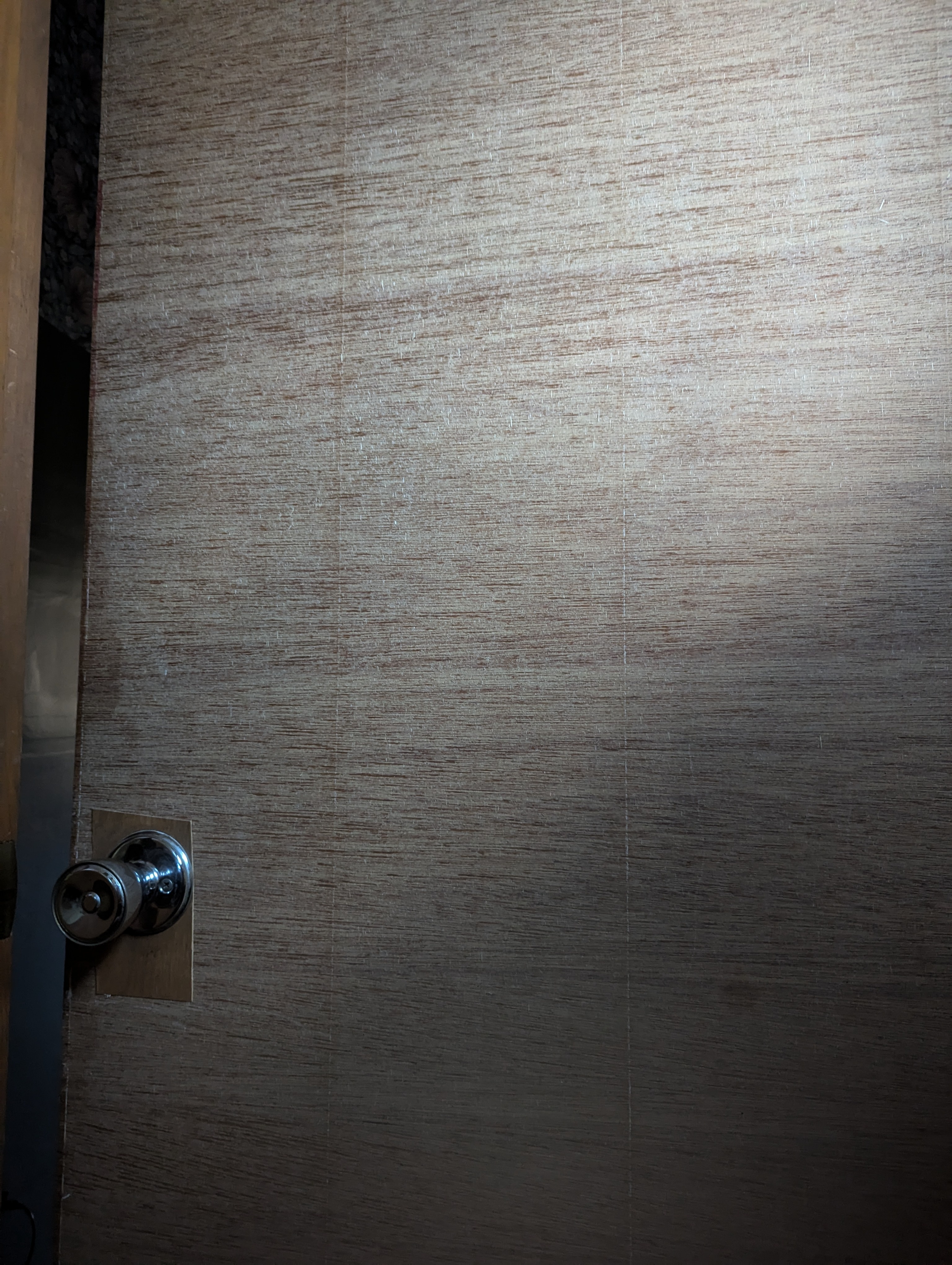 This Door Could Use a Little TLC