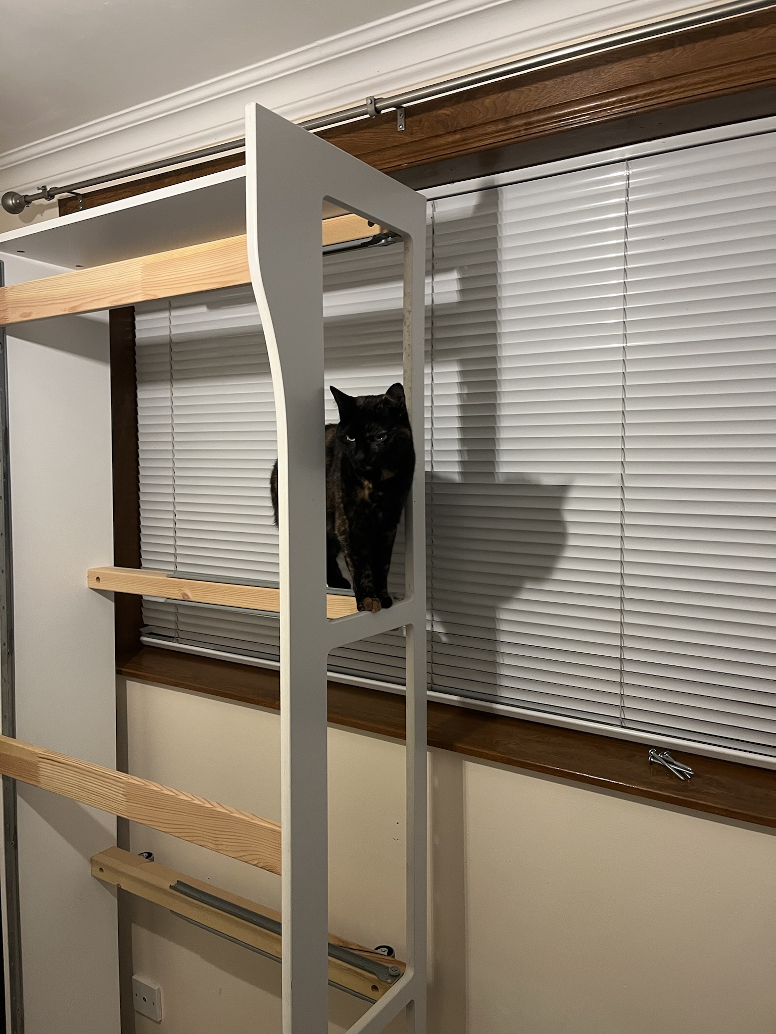 Flat-Pack Furniture Adventures: Cat Edition