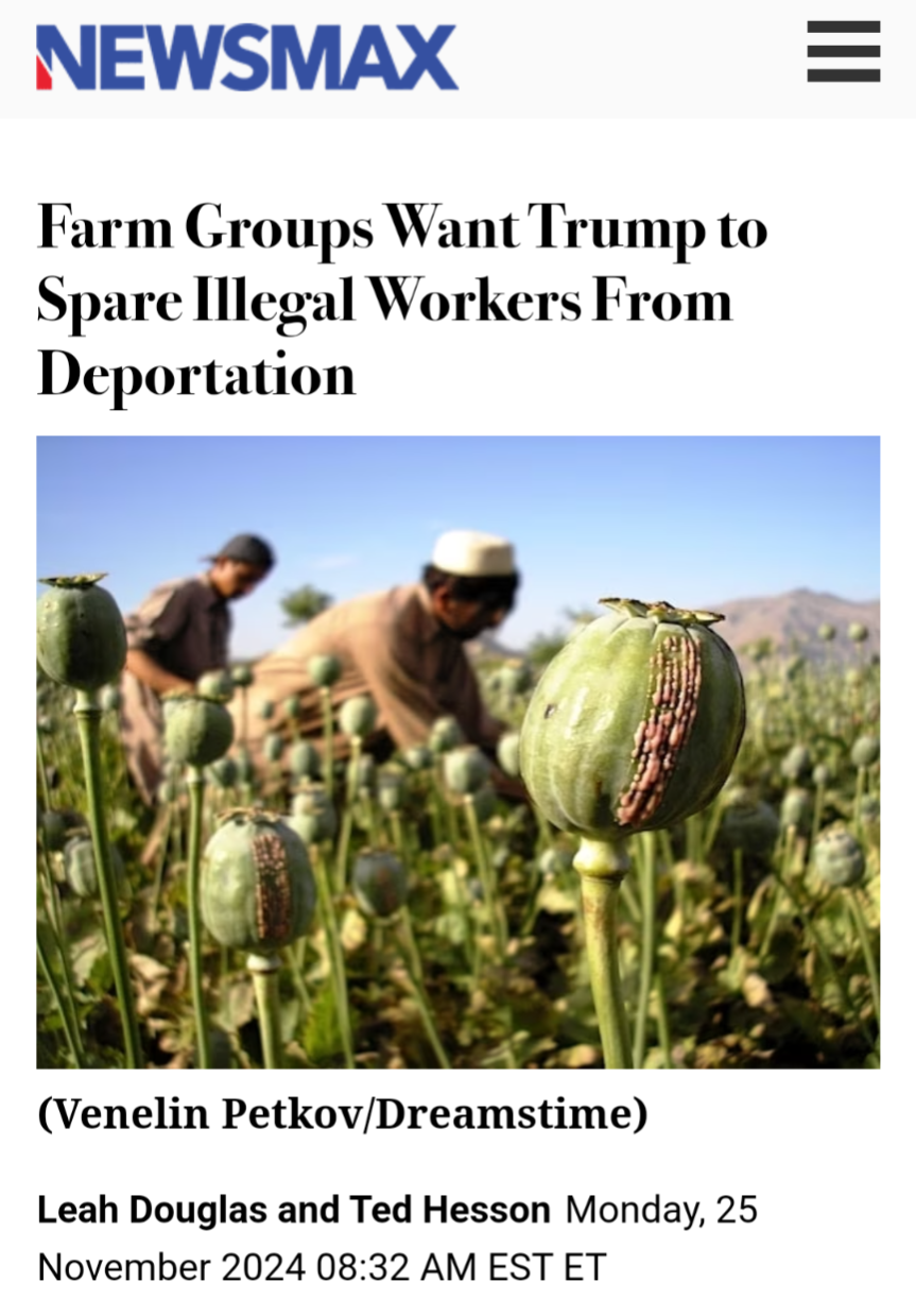 Is the US Really Cultivating Opium Now?