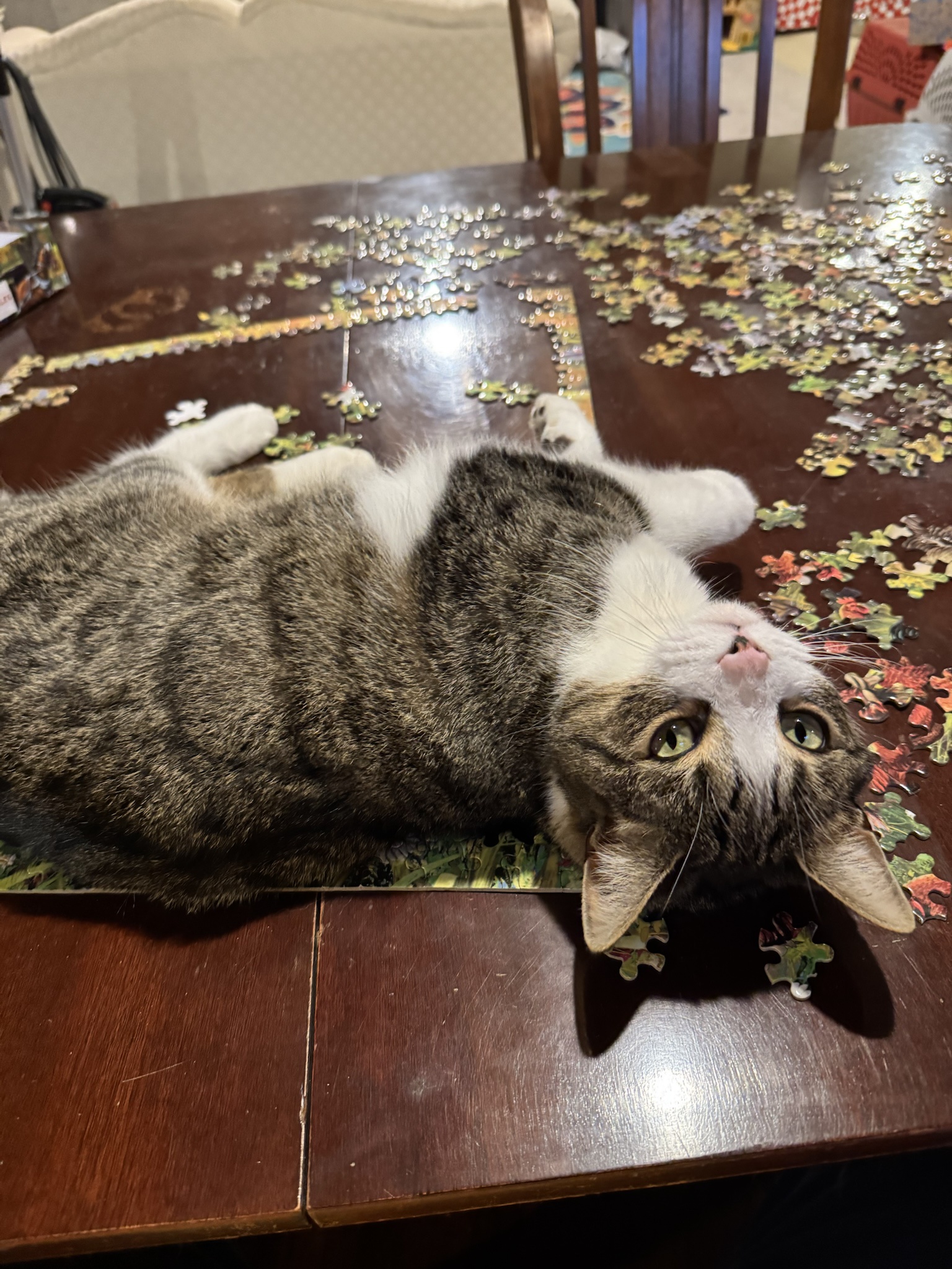 Lending a helping hand