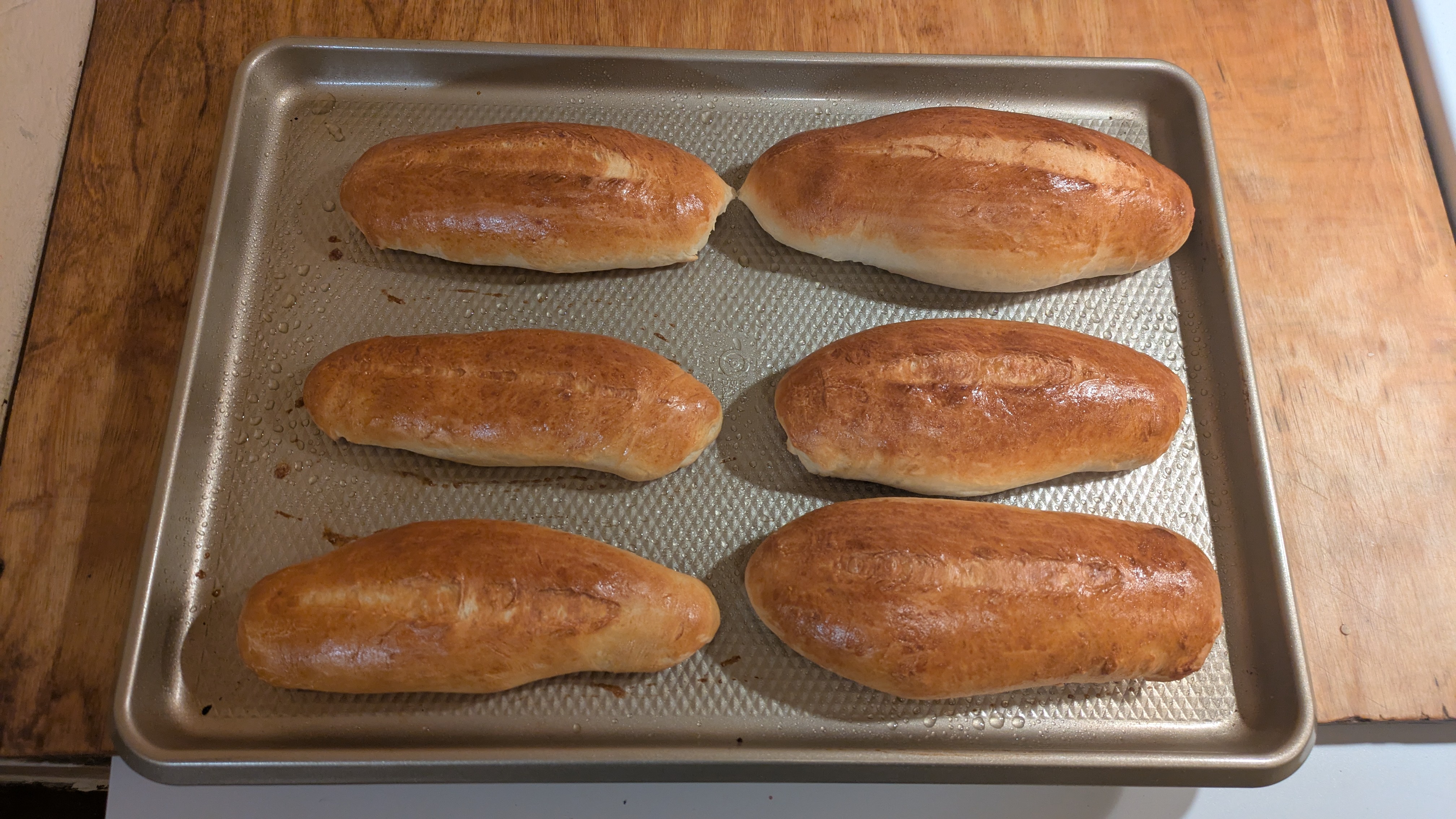 My First Attempt at Crafting Perfect Hoagie Rolls