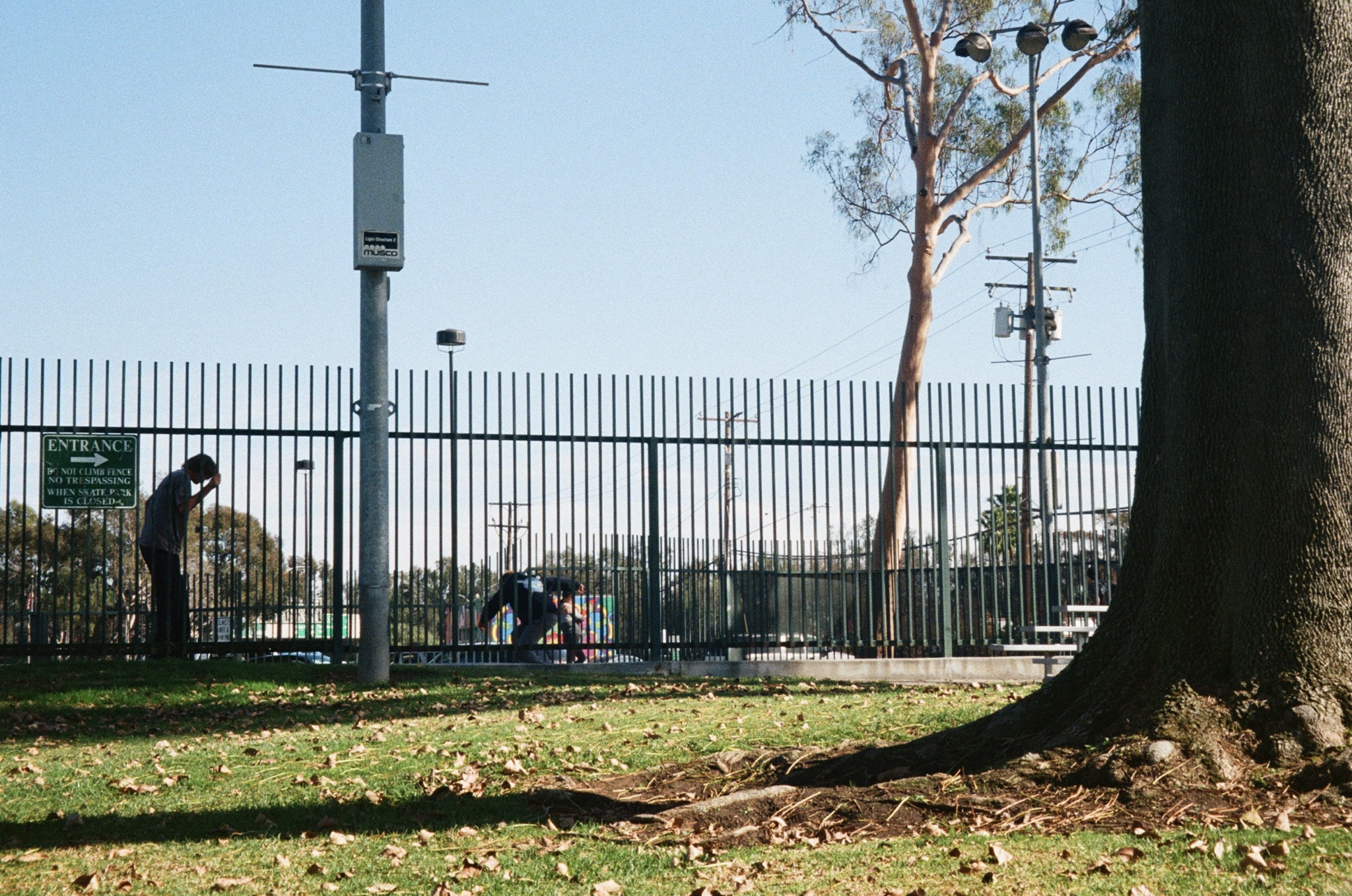 Capturing Moments in 35mm: Orange County, CA, 11:24