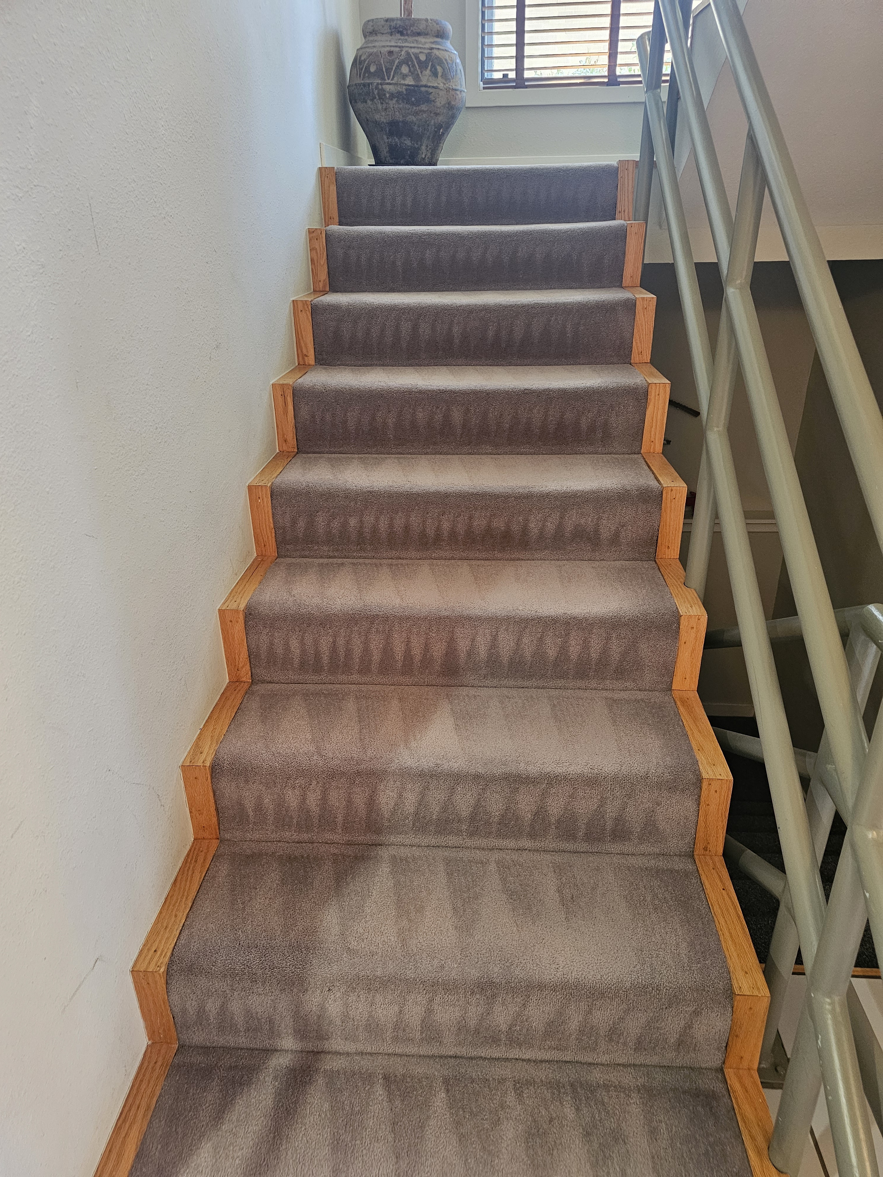 Vacuuming: My Unexpected Passion