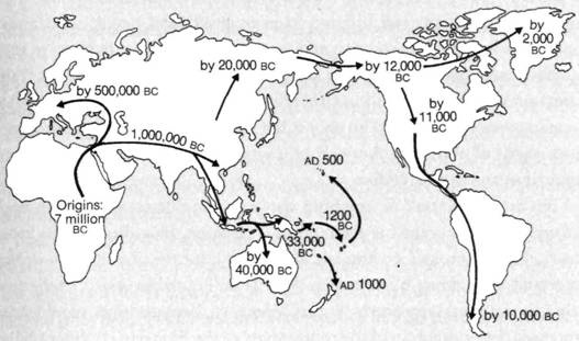 A Slow Spread: The Infection Journey