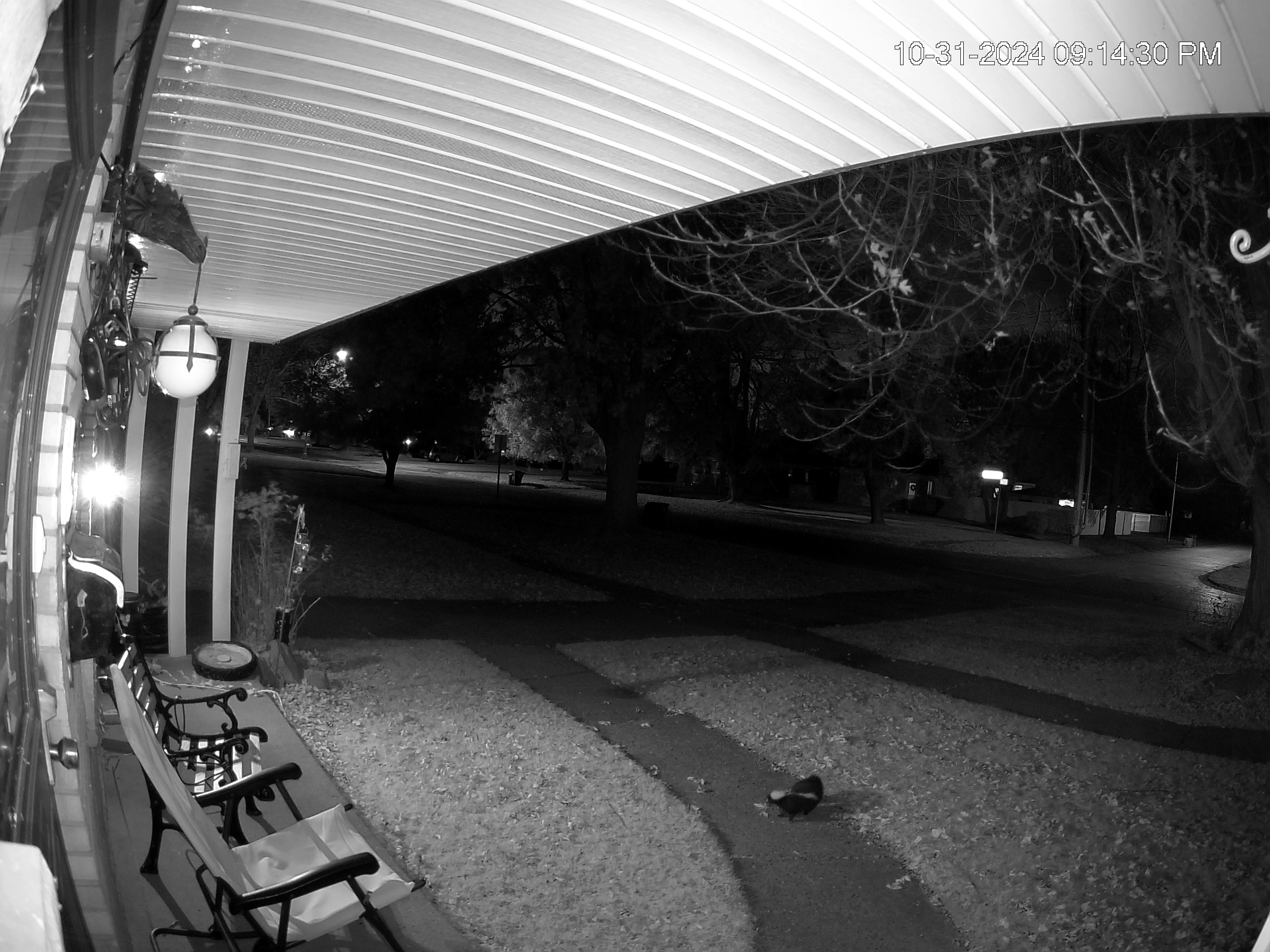 The Final Trick or Treater of the Night