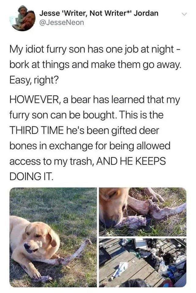 Bringing Back the Content to Its Original Source: A Nostalgic Dump