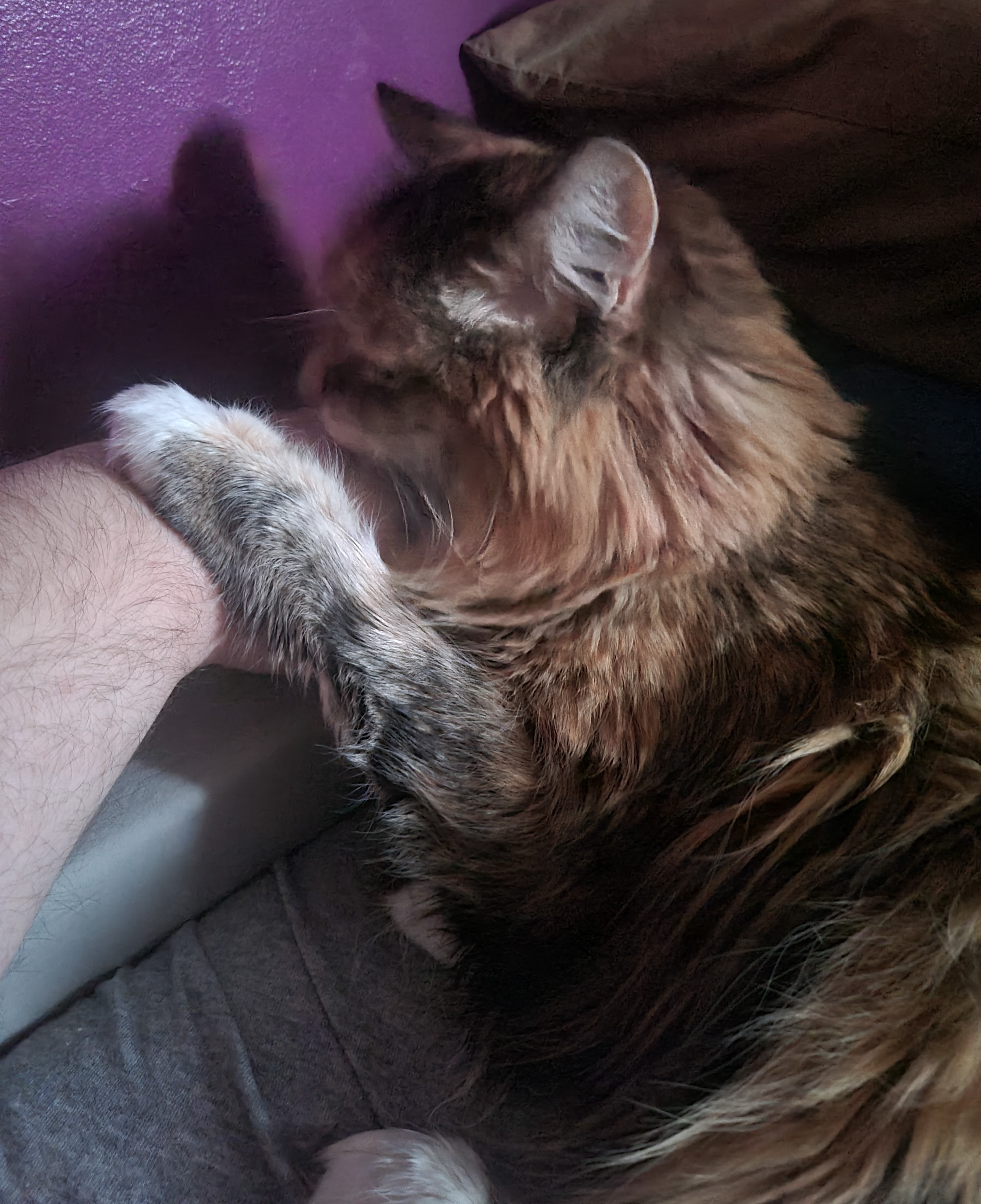 Rise and Shine! It's Caturday Time!