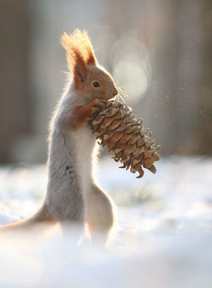 Time to grab those cones and make some magic!