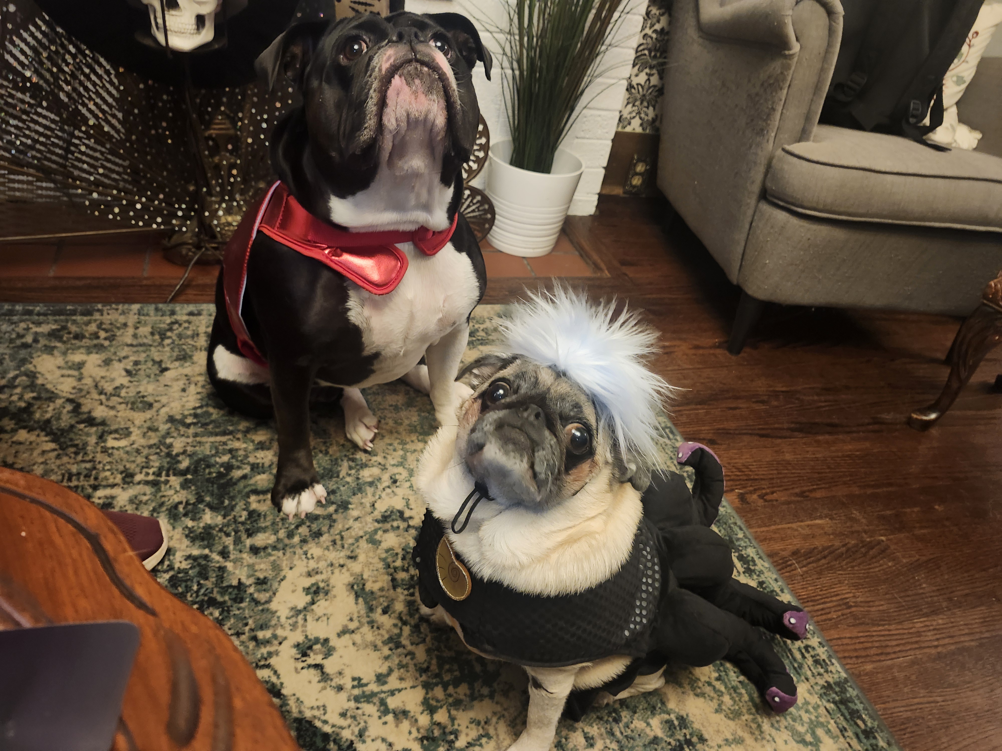 Spooktacular Halloween Vibes!