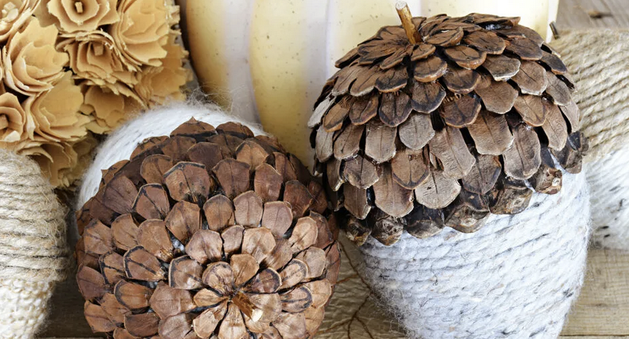 With a little creativity, a pinecone can become an acorn