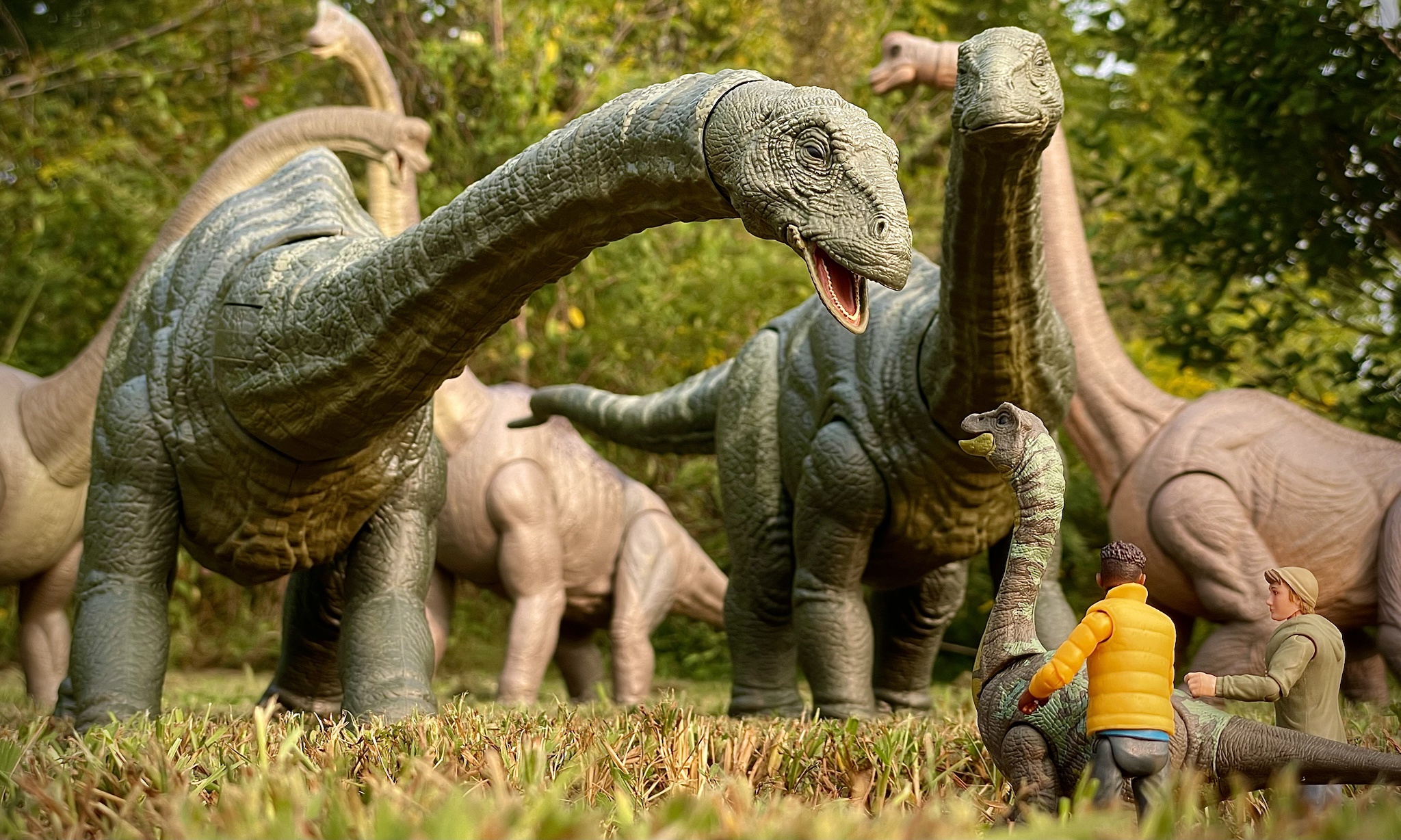 Bringing Back the Baby Apatosaurus