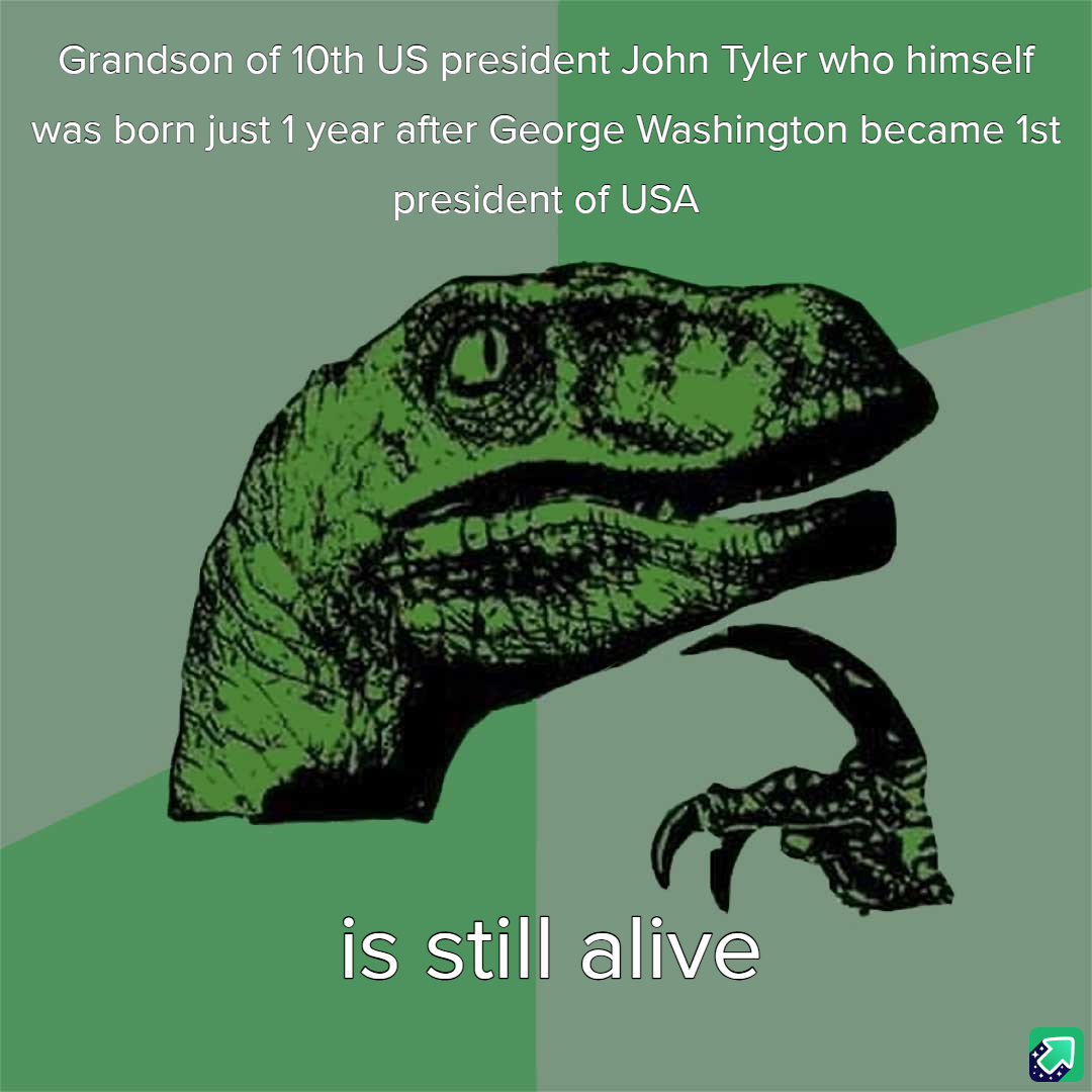 Here's a fun fact that might seem unbelievable at first glance