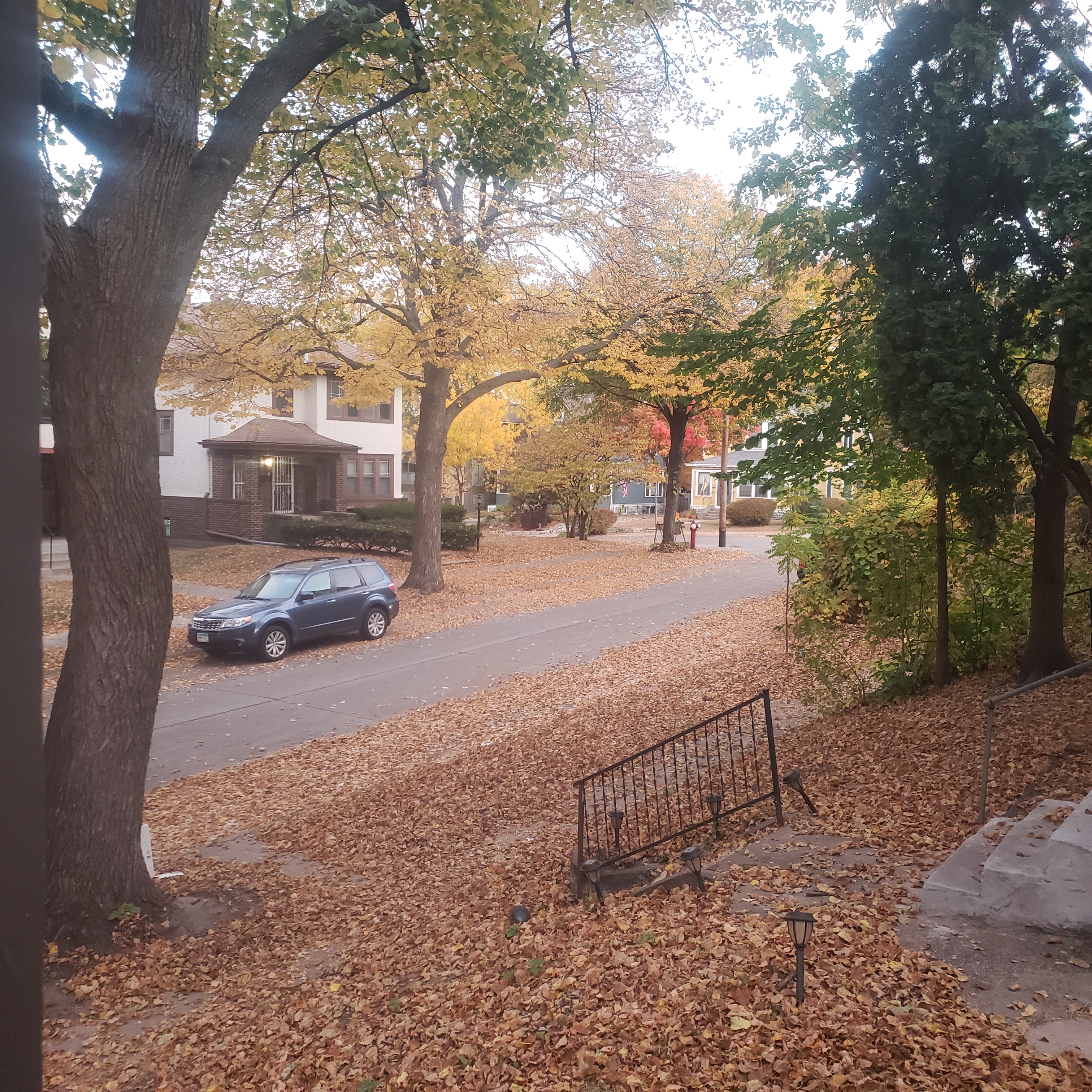 A Serene Autumn Morning: Nature's Beauty