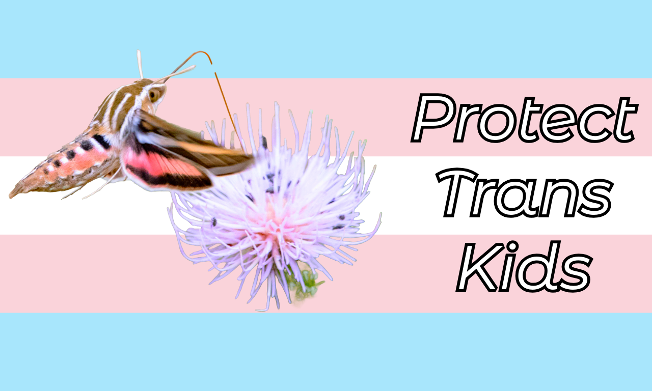 Trans rights are undeniably human rights.