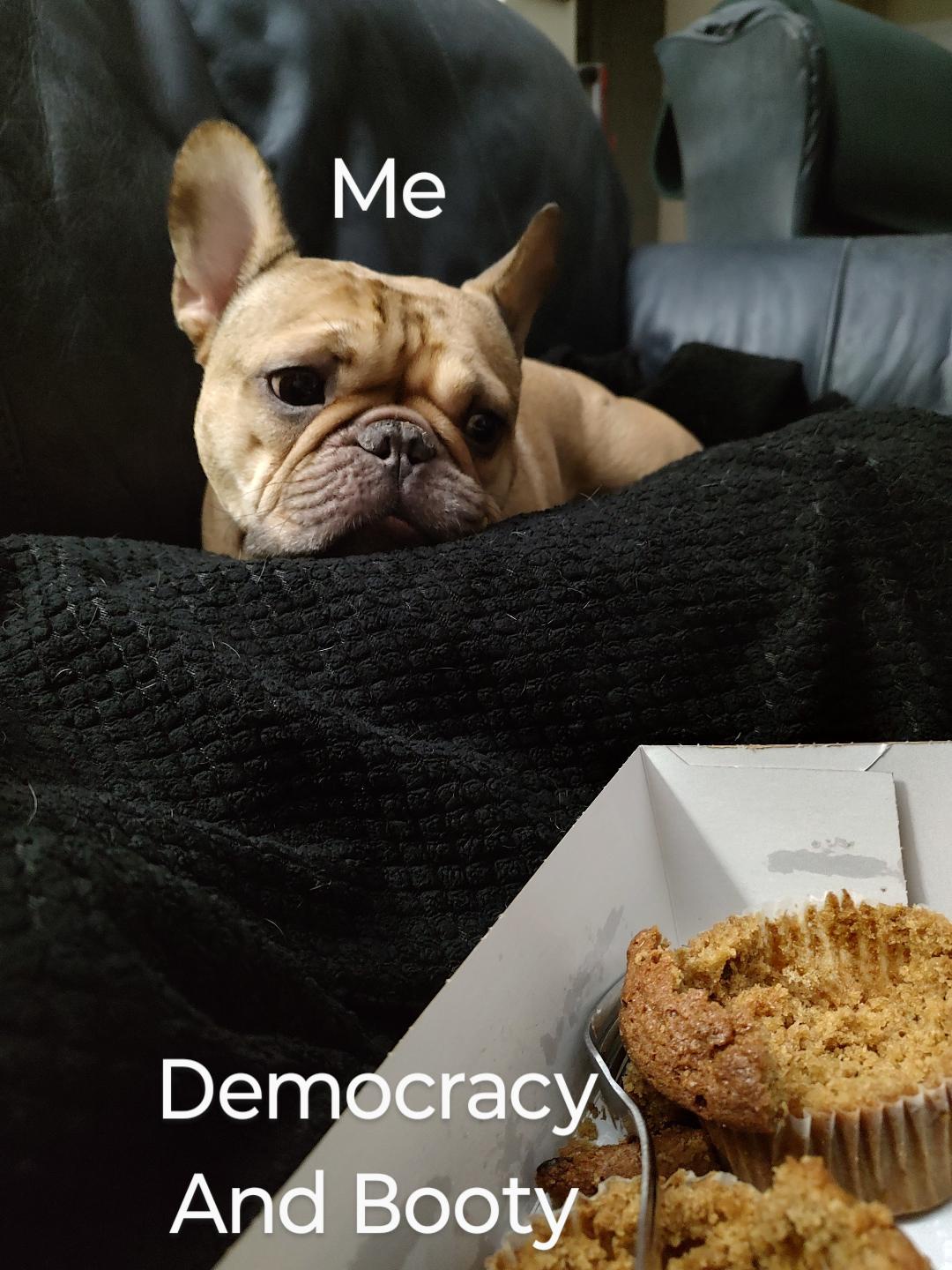 Today's Mood in a Nutshell