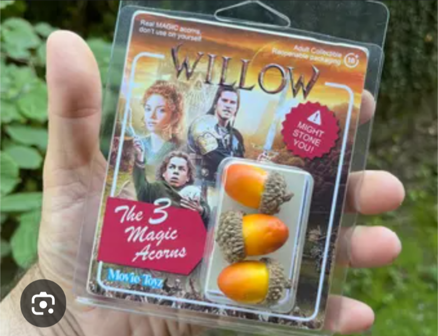 Who Wants to Experience Some Magical Acorns?