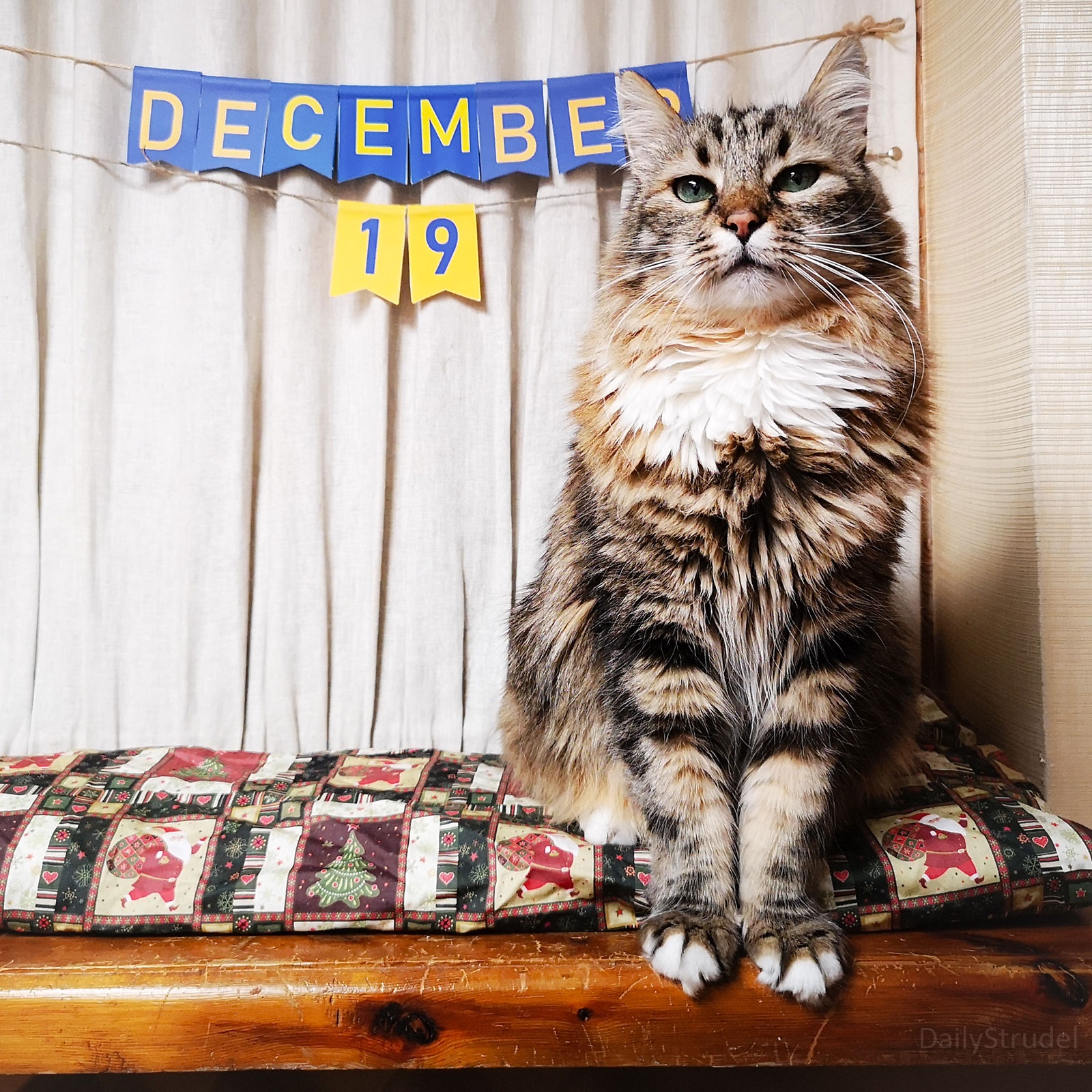 Mark Your Calendars: December 19