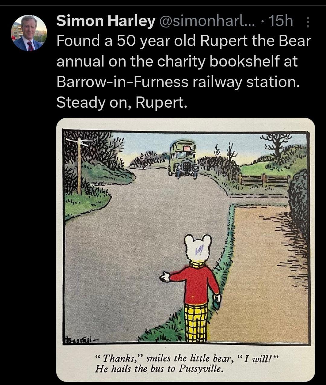 Rupert, You Mischievous Rascal!