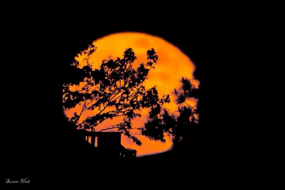 The Enchanting Halloween Moon Lighting Up the Night