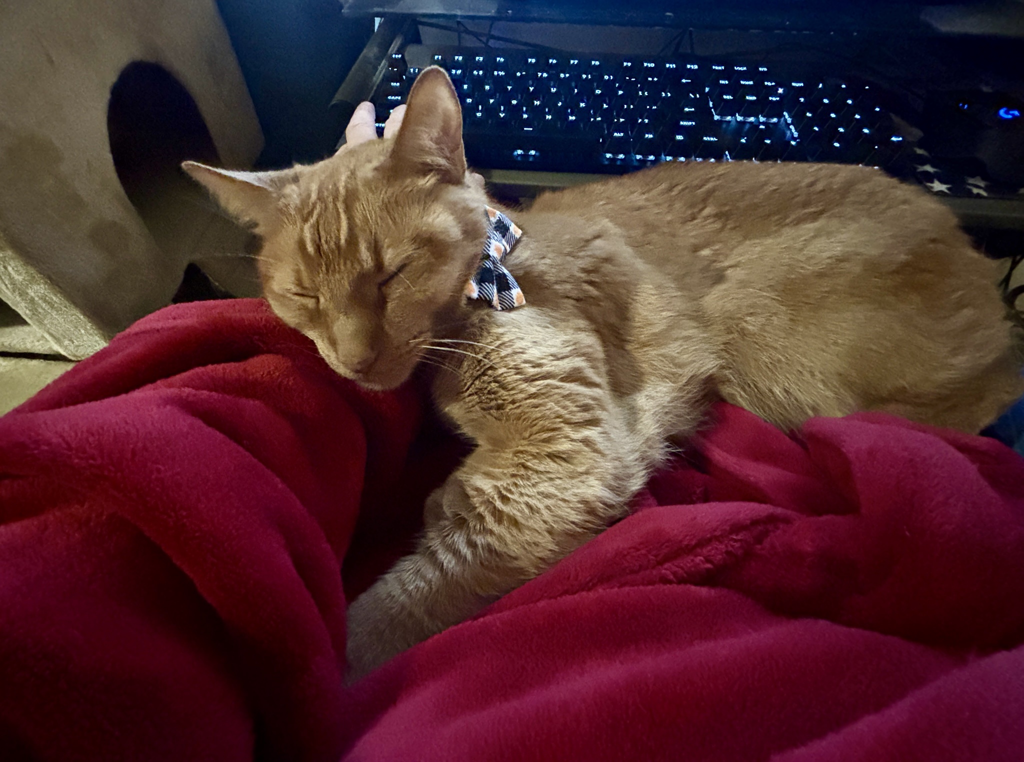 Sorry, but I can't make it in today.