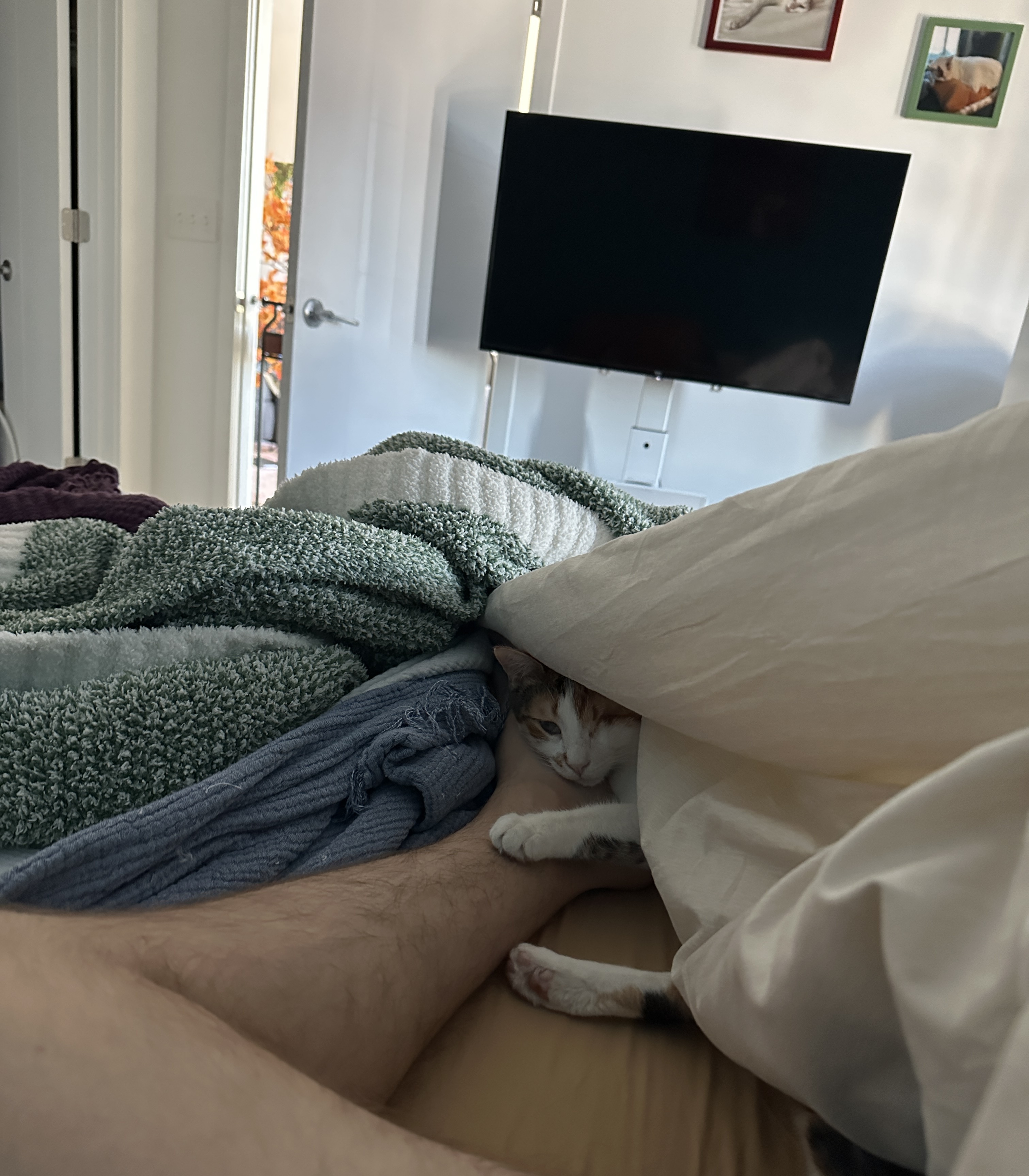 Waking Up to My One-Eyed Girl Clutching My Ankle is Pure Joy