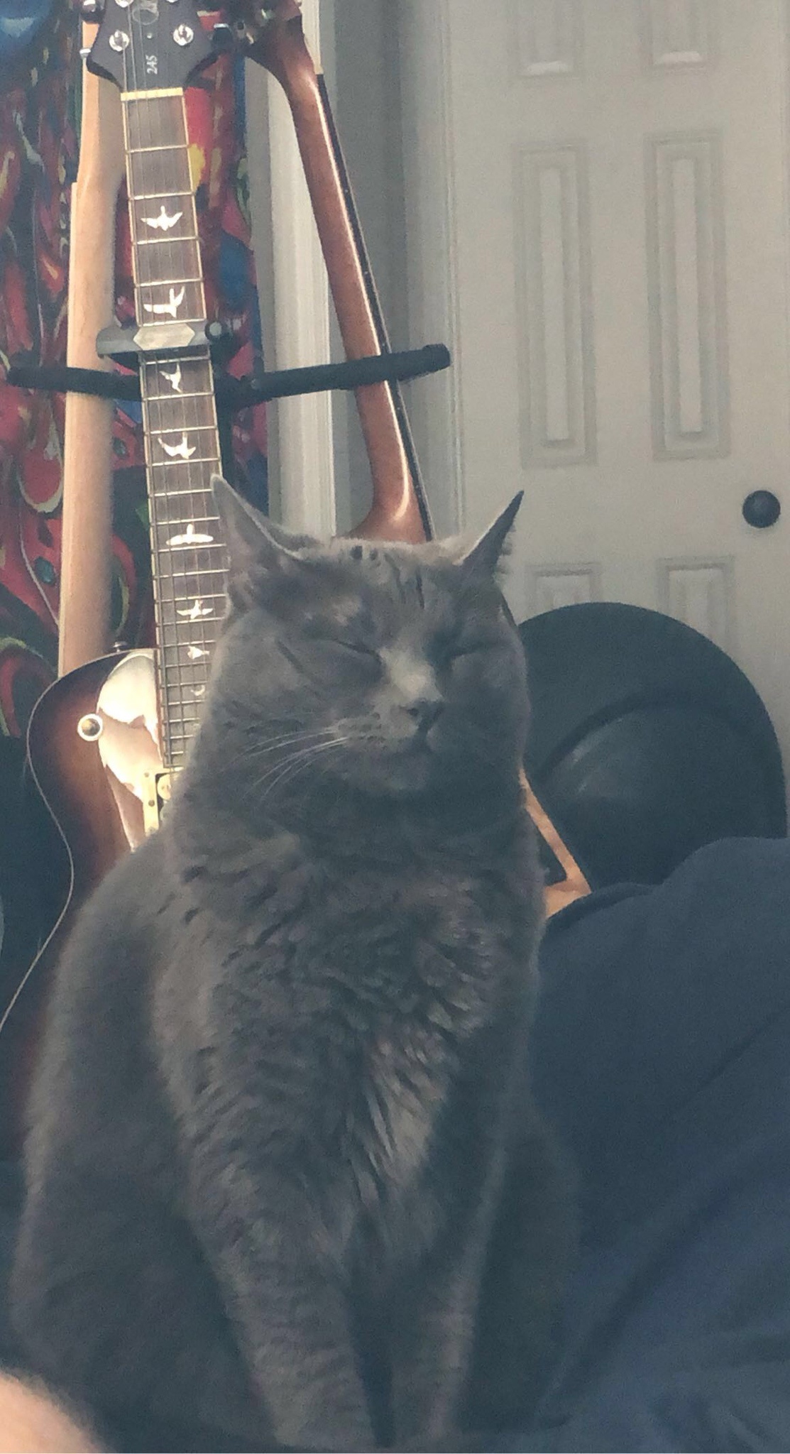 Behold the Absolute Unit!