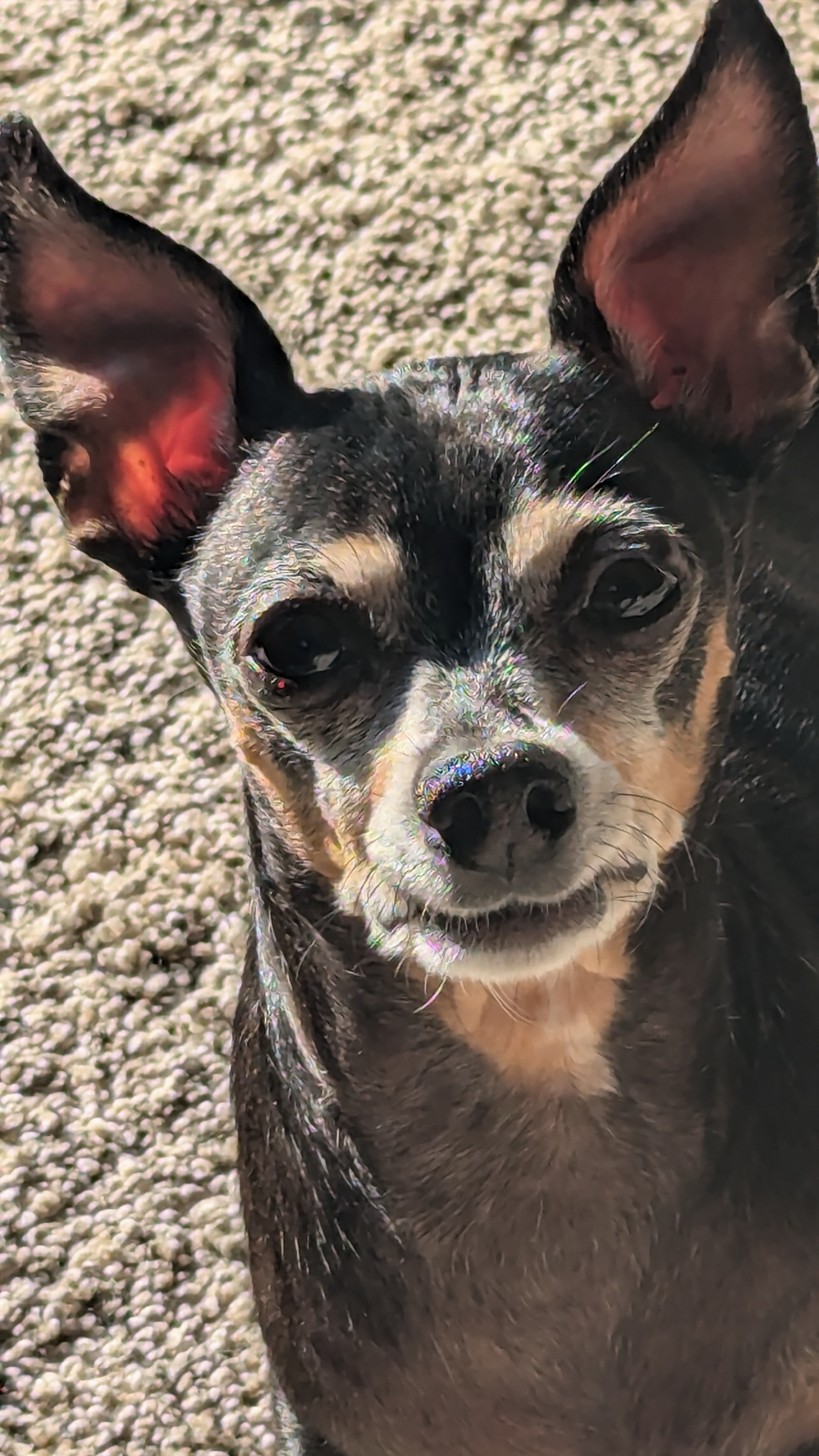 A Close-Up Look at Jackson's Charm