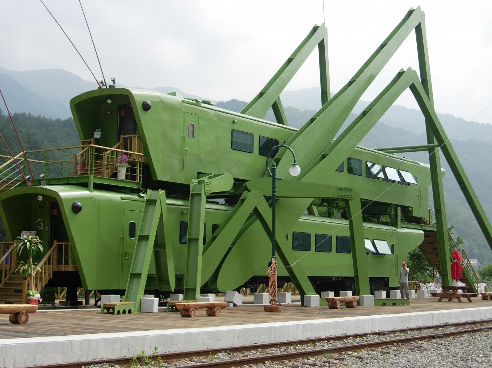 Grasshopper Cafe in South Korea: A Culinary Adventure or a Heimlich Maneuver?