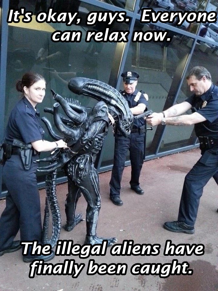 At Last, the Moment We've All Been Waiting For!