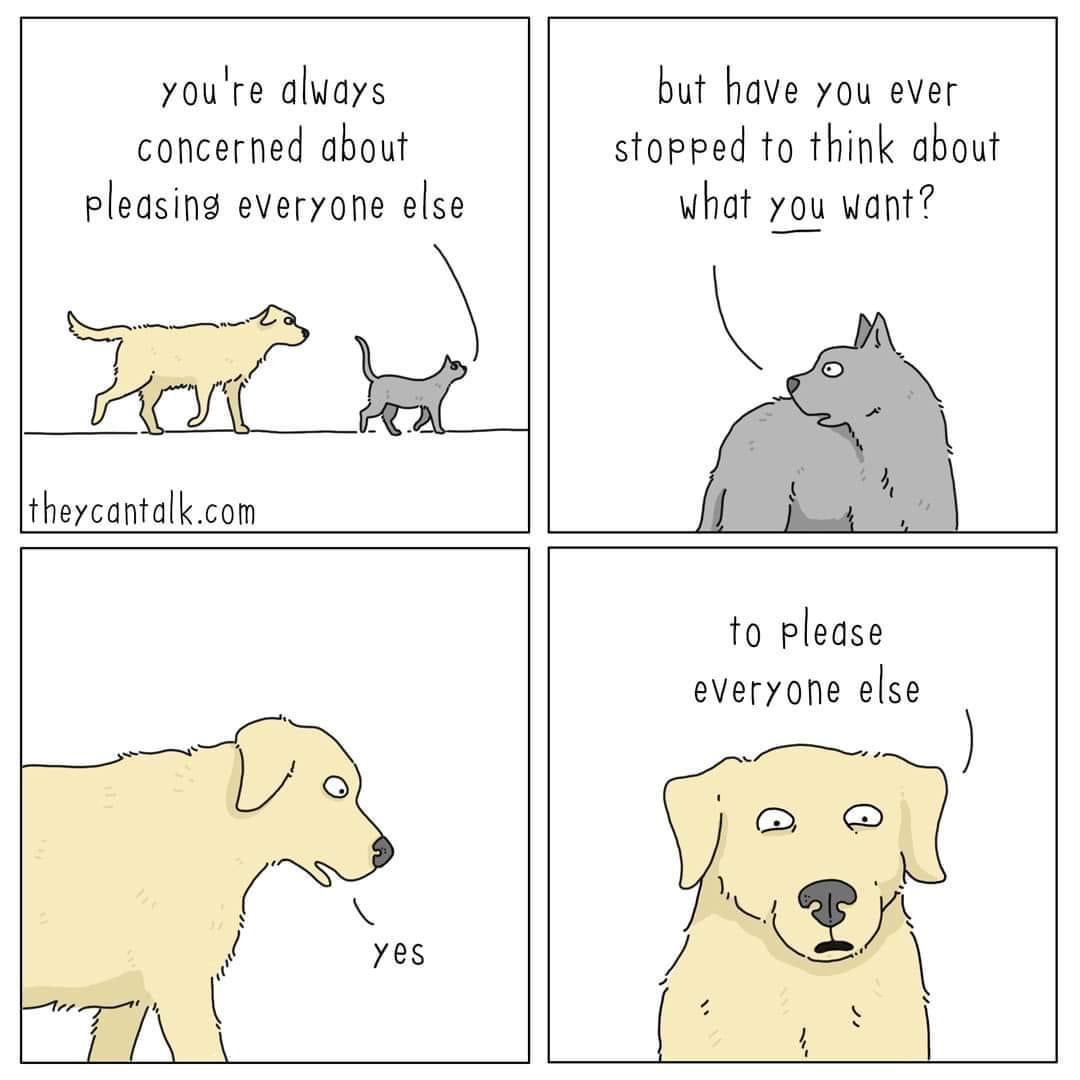 The 487th Volume of My Phone's Emotional Dumps: Dogs Edition #22