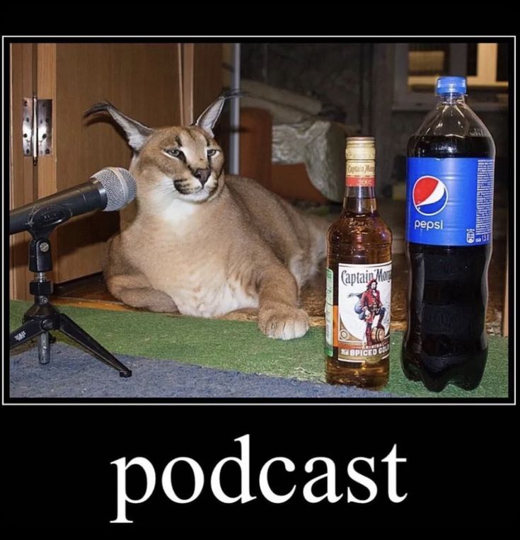 Welcome to the Floppa Podcast: Where Chaos Meets Conversation