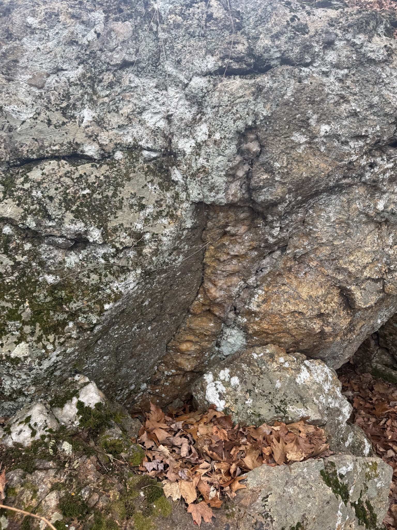 Log1324CT2: The Exciting Discovery Awaits!