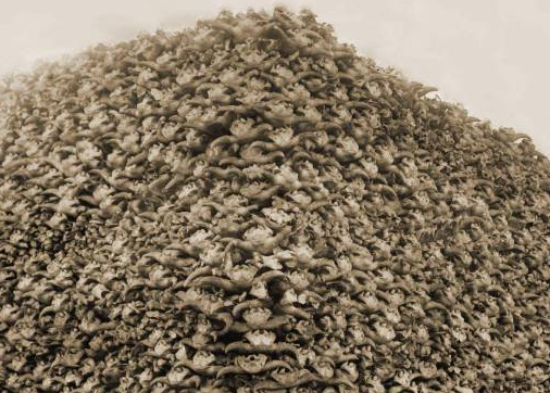 Exploring SCP-1183: The Mysterious Piles of Everything