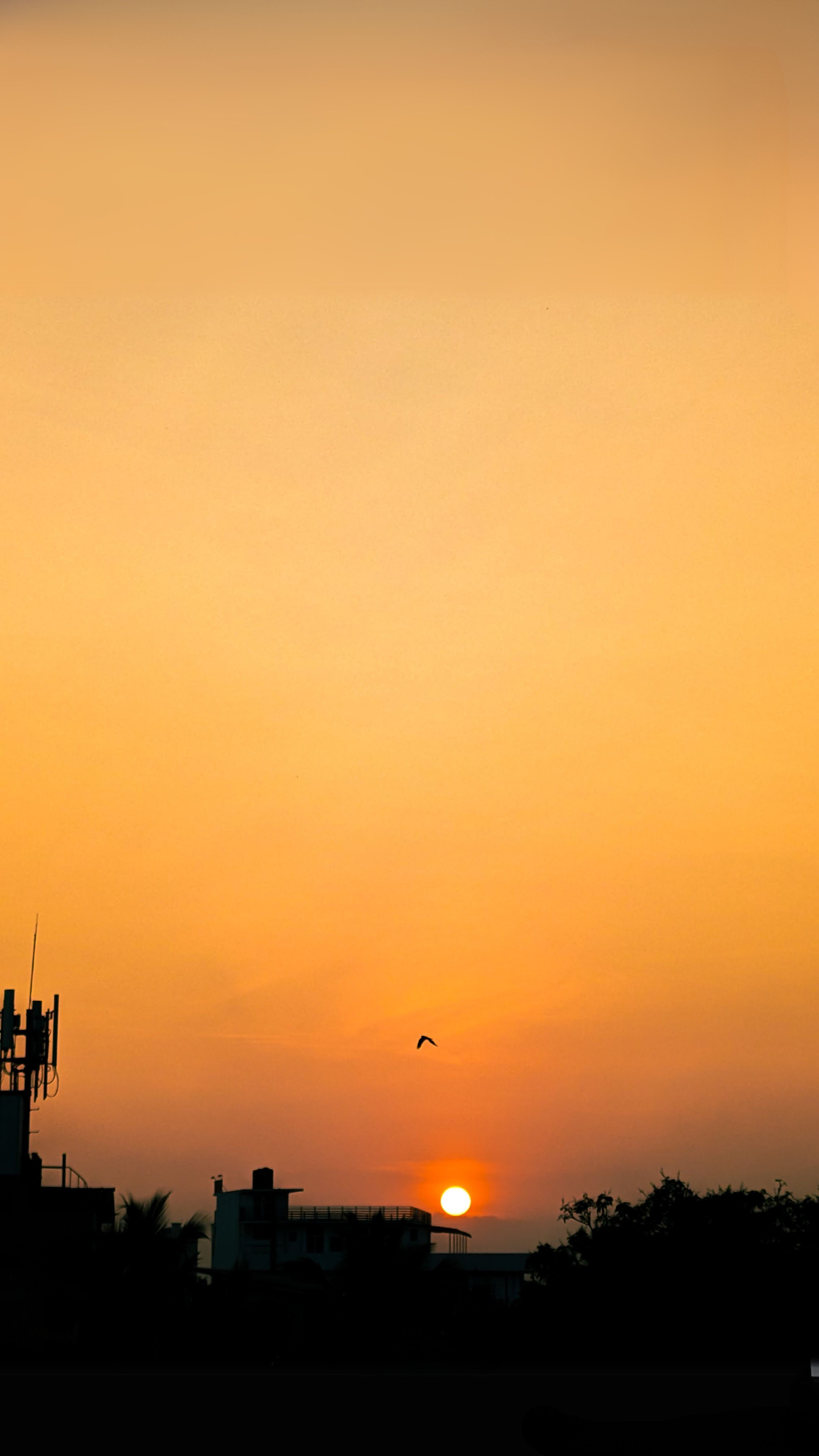 Breathtaking evening sky captured in a moment.