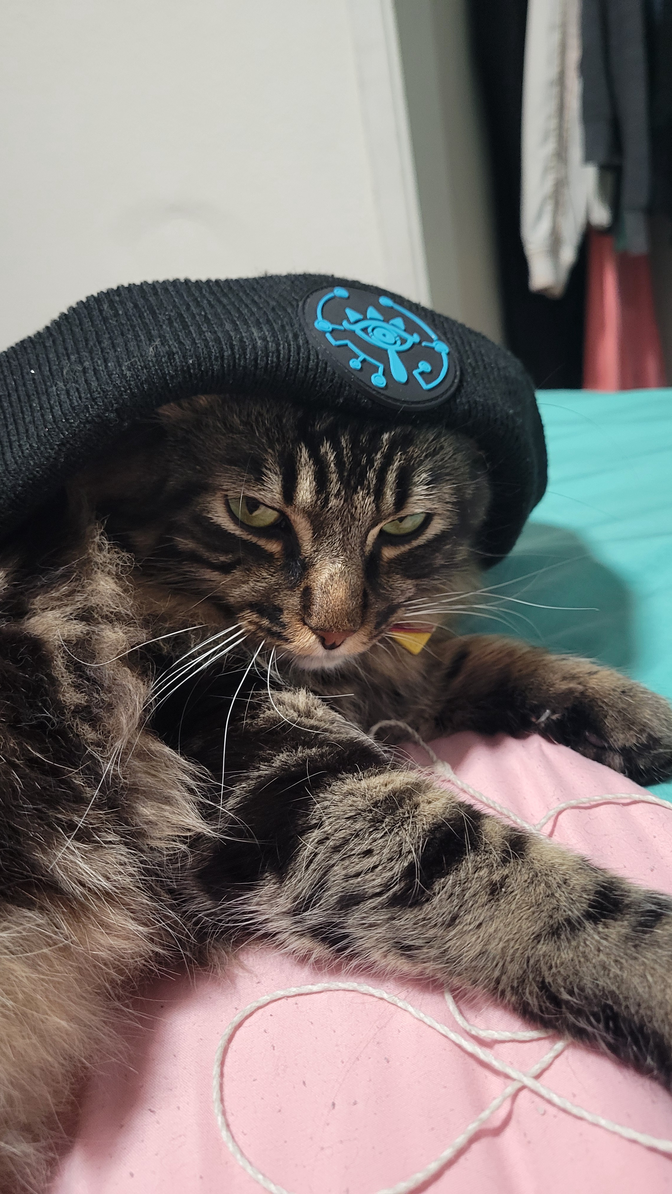 Clearly Not a Fan: I Don't Think He Likes It