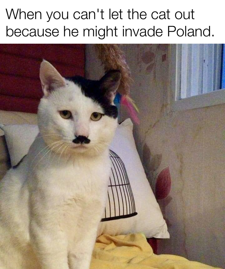 I Have a Feeling His Name is Blitzkrieg!