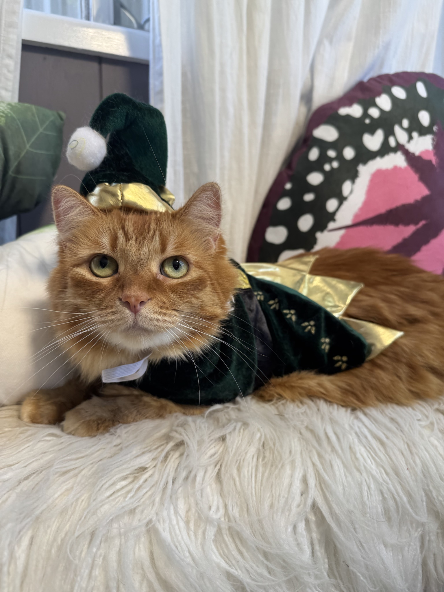 The Journey Continues: Day 119 of Toph