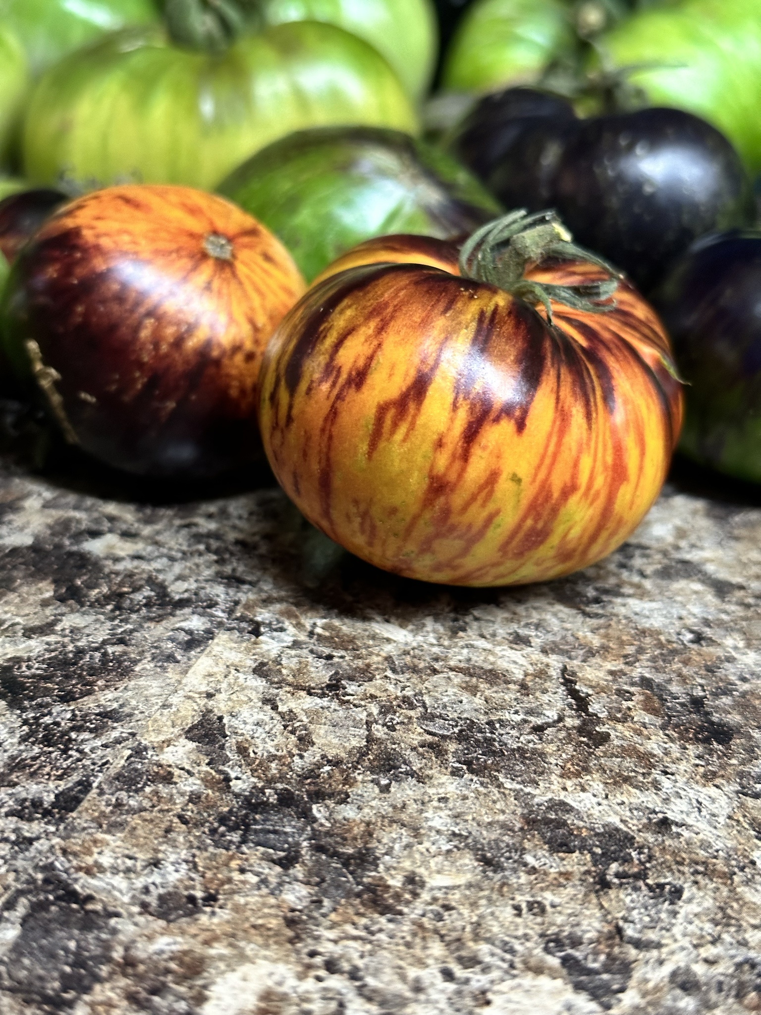 As the queen of the night and black beauty tomatoes, our annual mission is to cultivate stunning and unique produce!