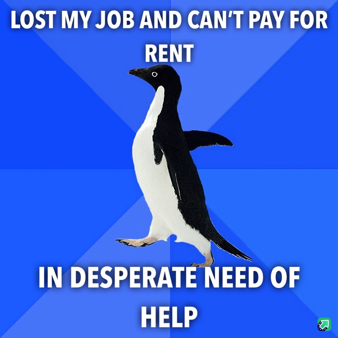 Any help would be greatly appreciated!