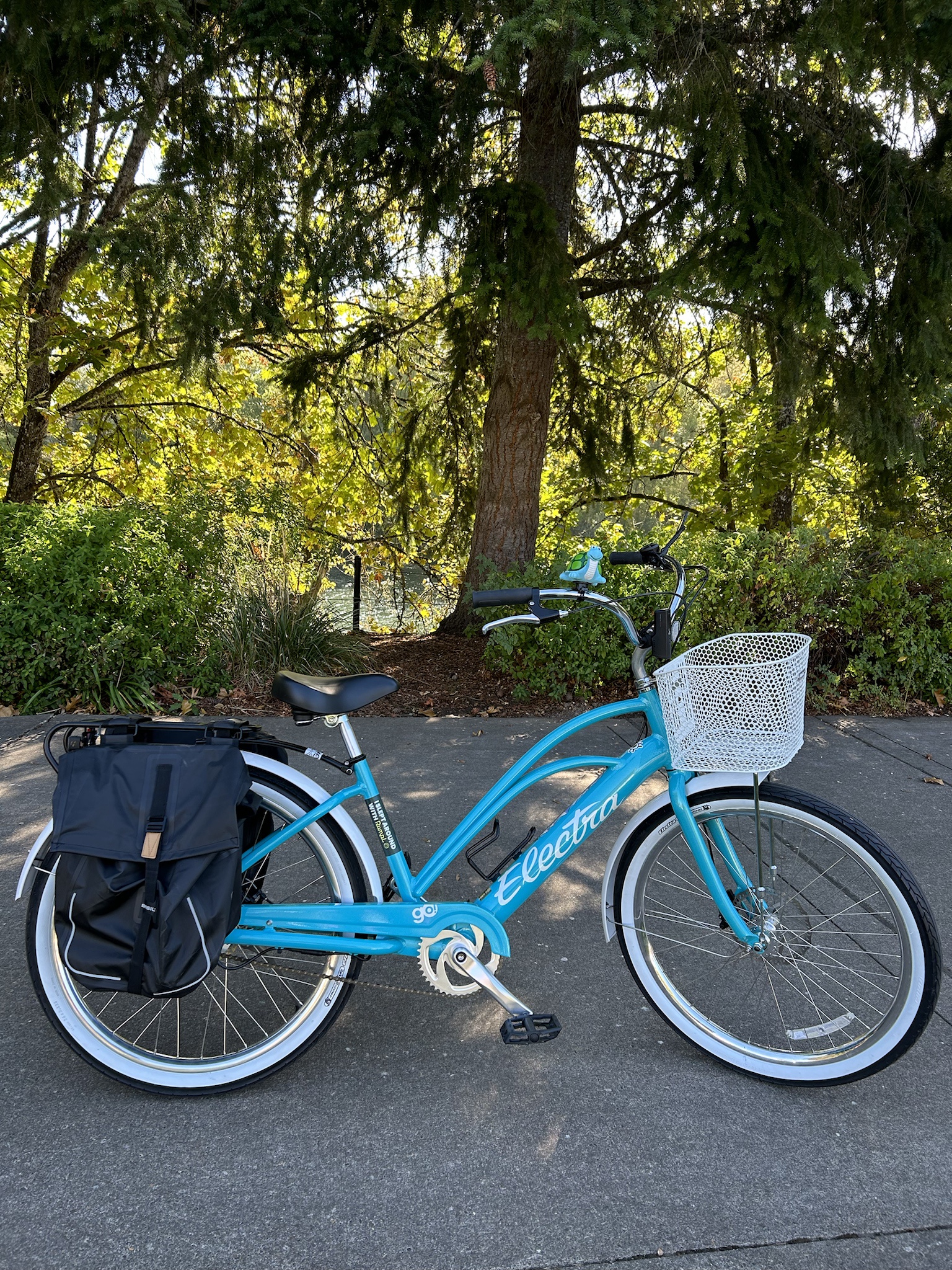 Check Out My Custom Ride: Electra!