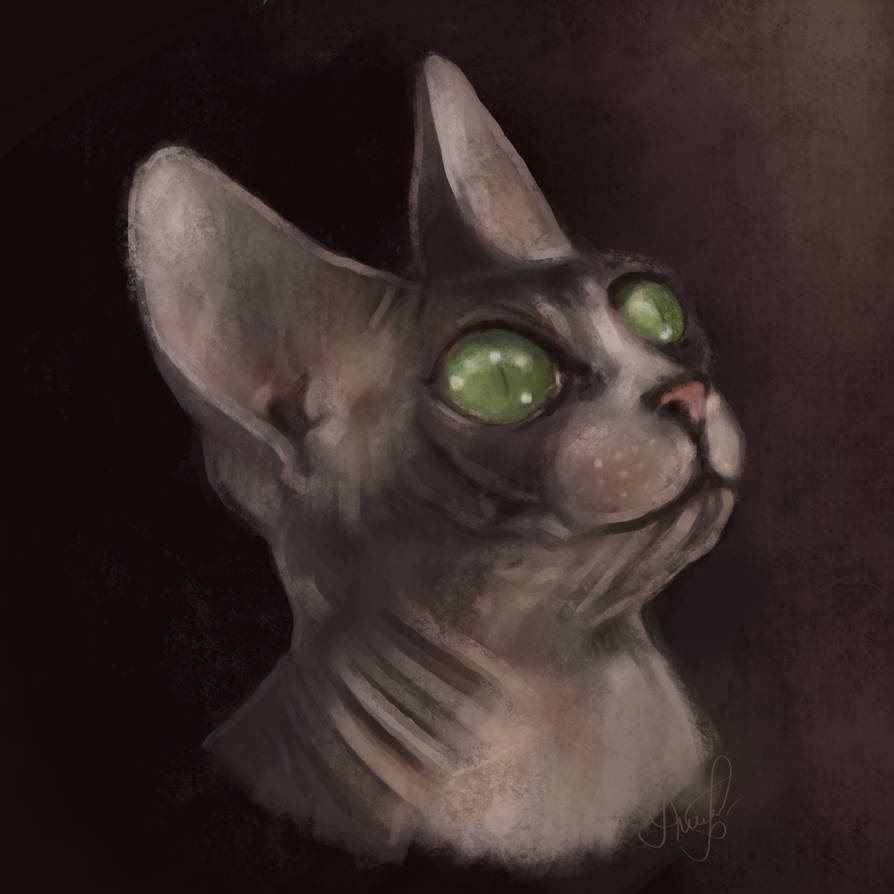 My Journey into Pet Portraits: How It All Began
