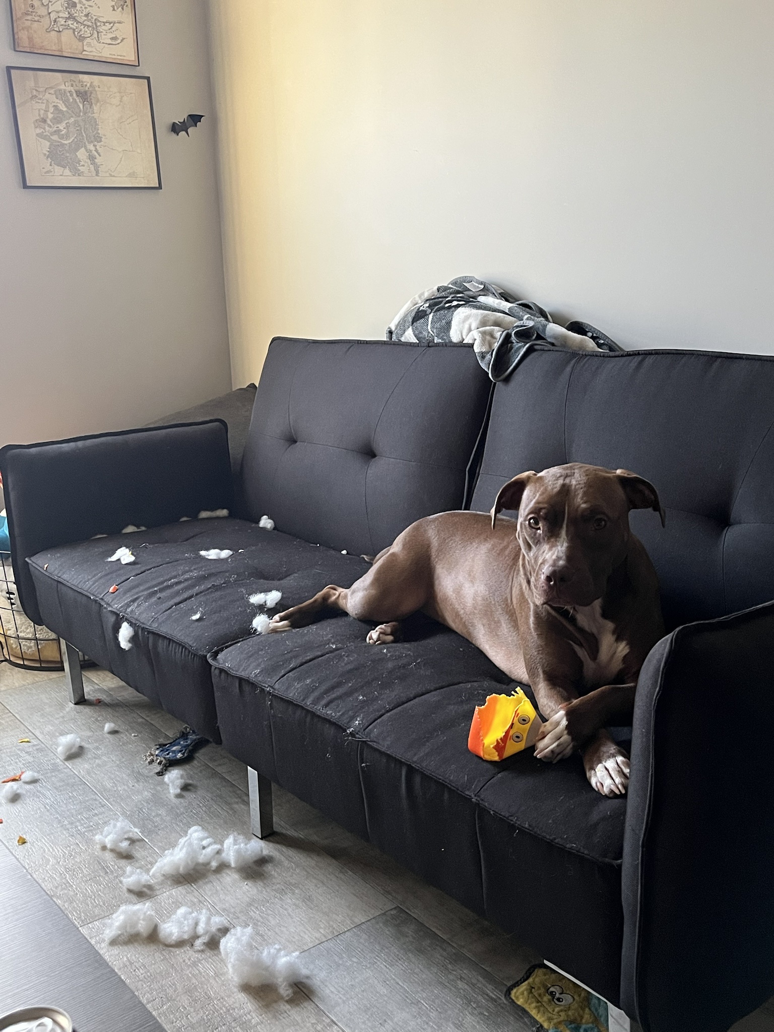 First I Ruin My Toy, Then I Sit Pretty Waiting for Mom to Clean Up