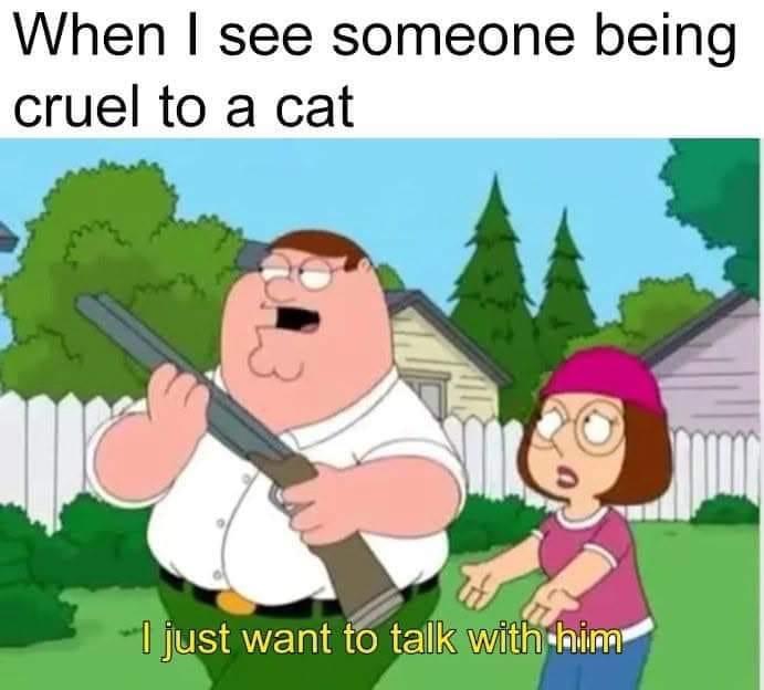 The Ultimate Meme Experience