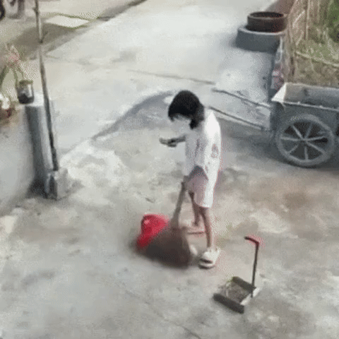 The Mystery of the Disappearing Object