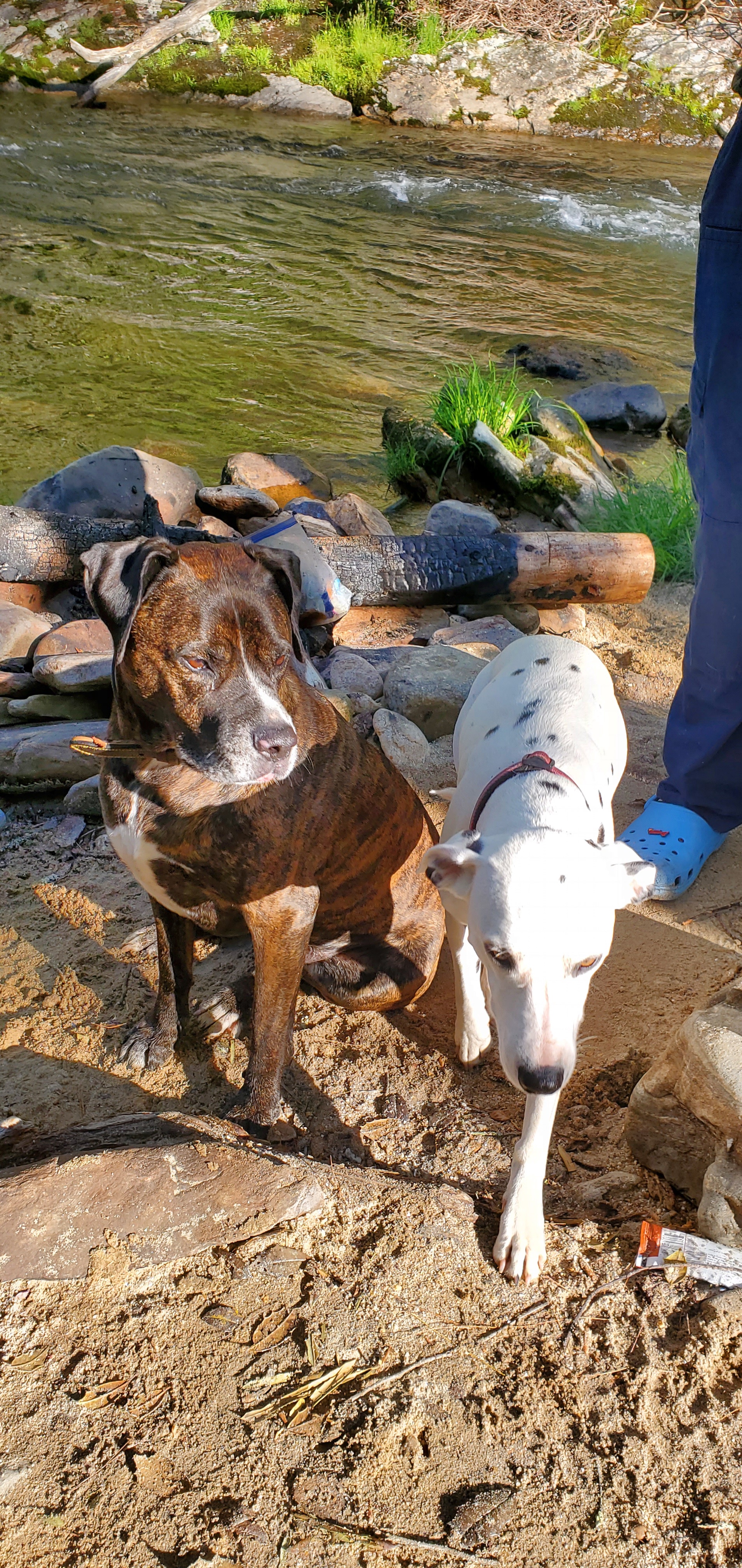 Exploring the Scenic Foothills Trail by the Chatooga River