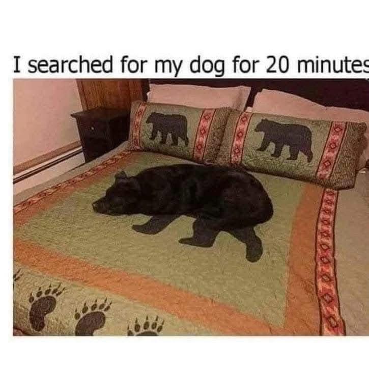 Where on Earth Did That Come From?
