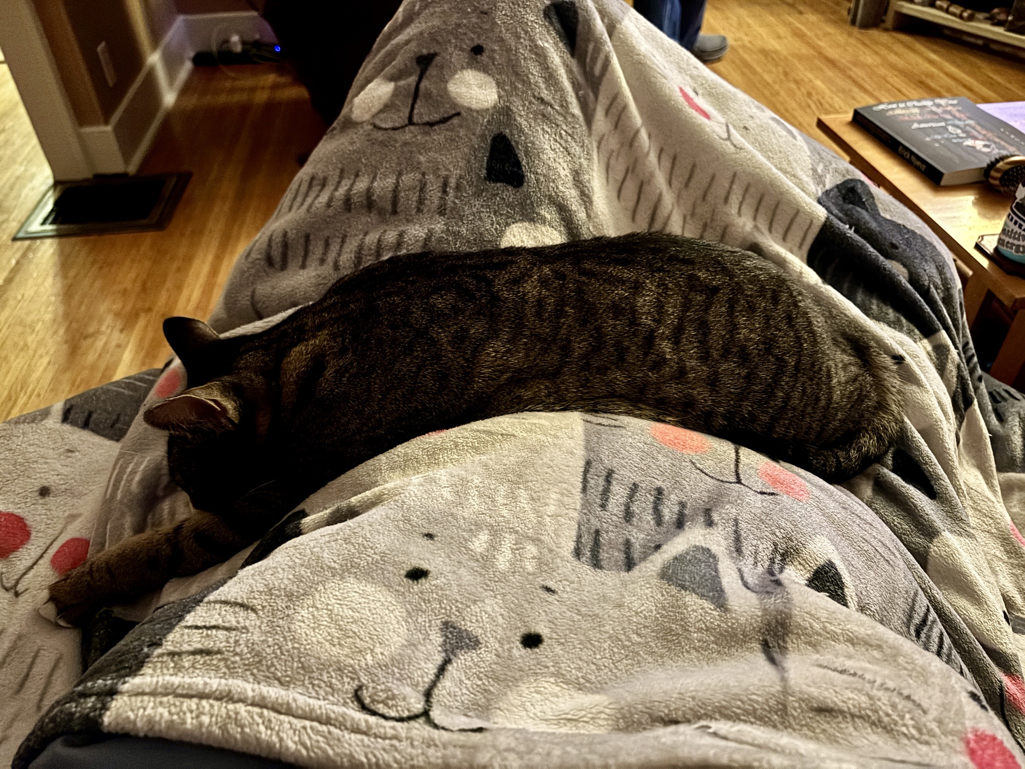 Matilda's Cozy Sleep Positions Tonight - Sweet Dreams Ahead!