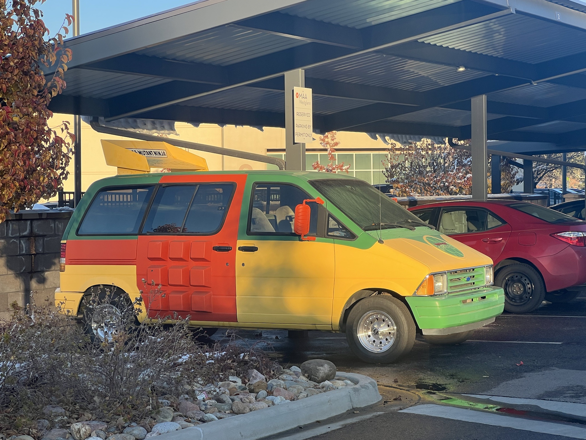 Spotted in Denver: A Unique Find!